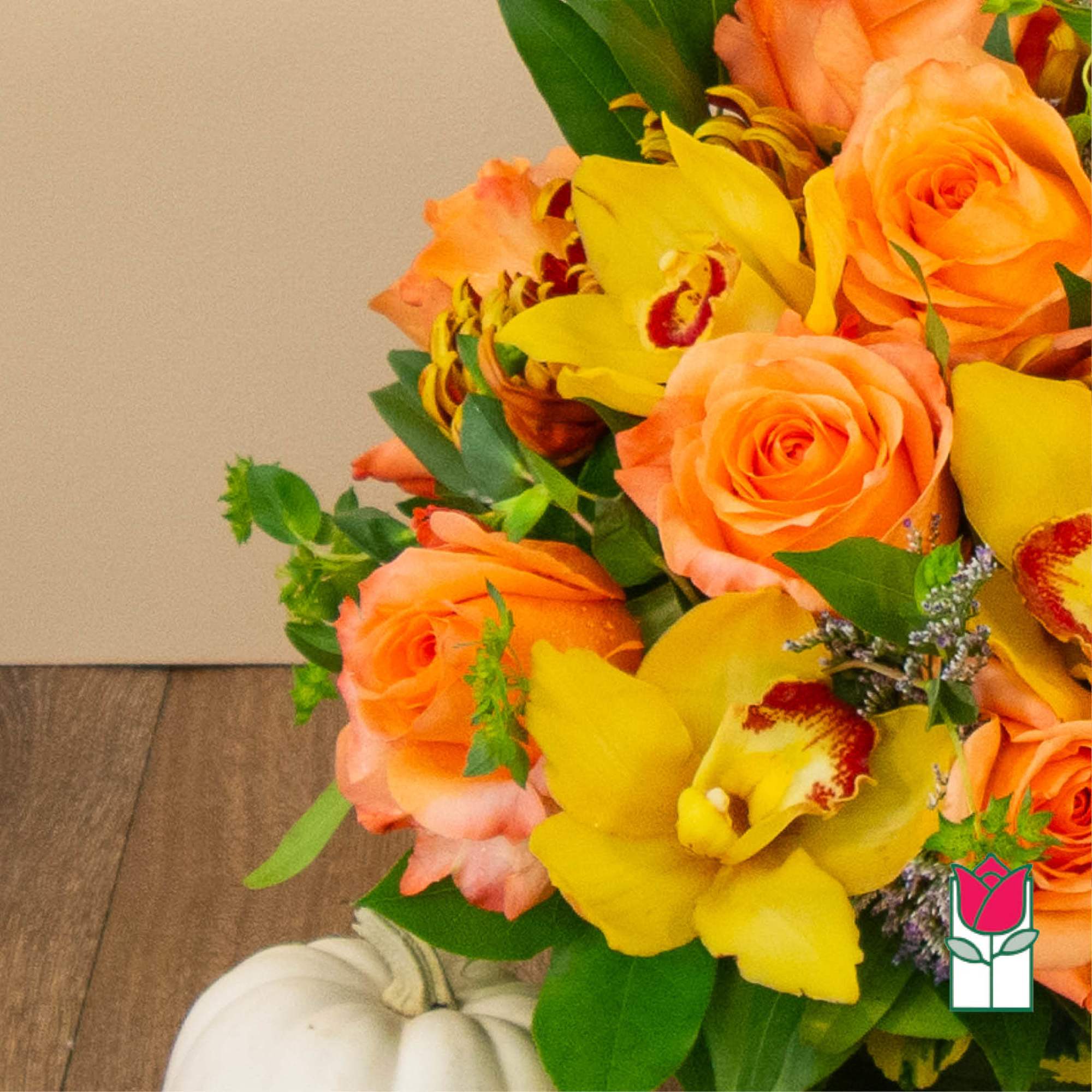 Get ready to embrace the cozy charm of fall with our Beretania