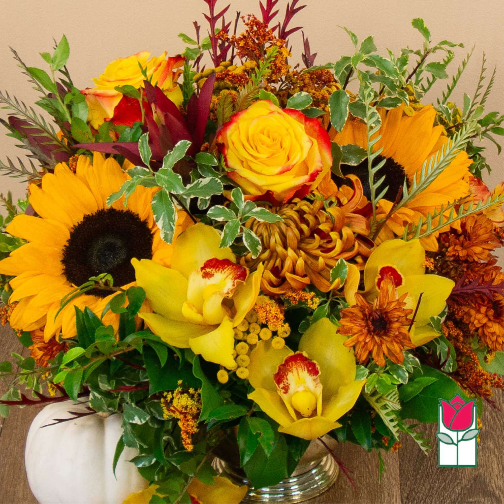 Get ready to embrace the cozy charm of fall with our Beretania