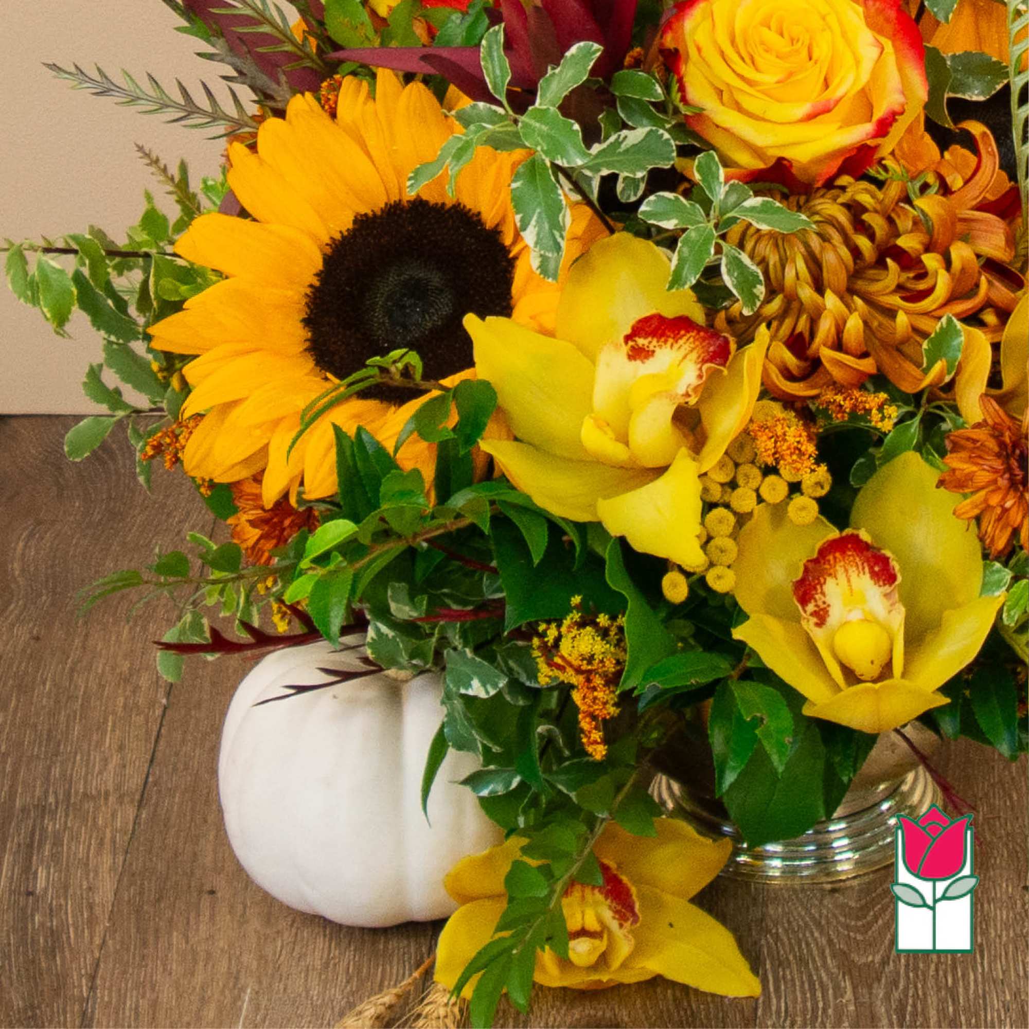 Get ready to embrace the cozy charm of fall with our Beretania