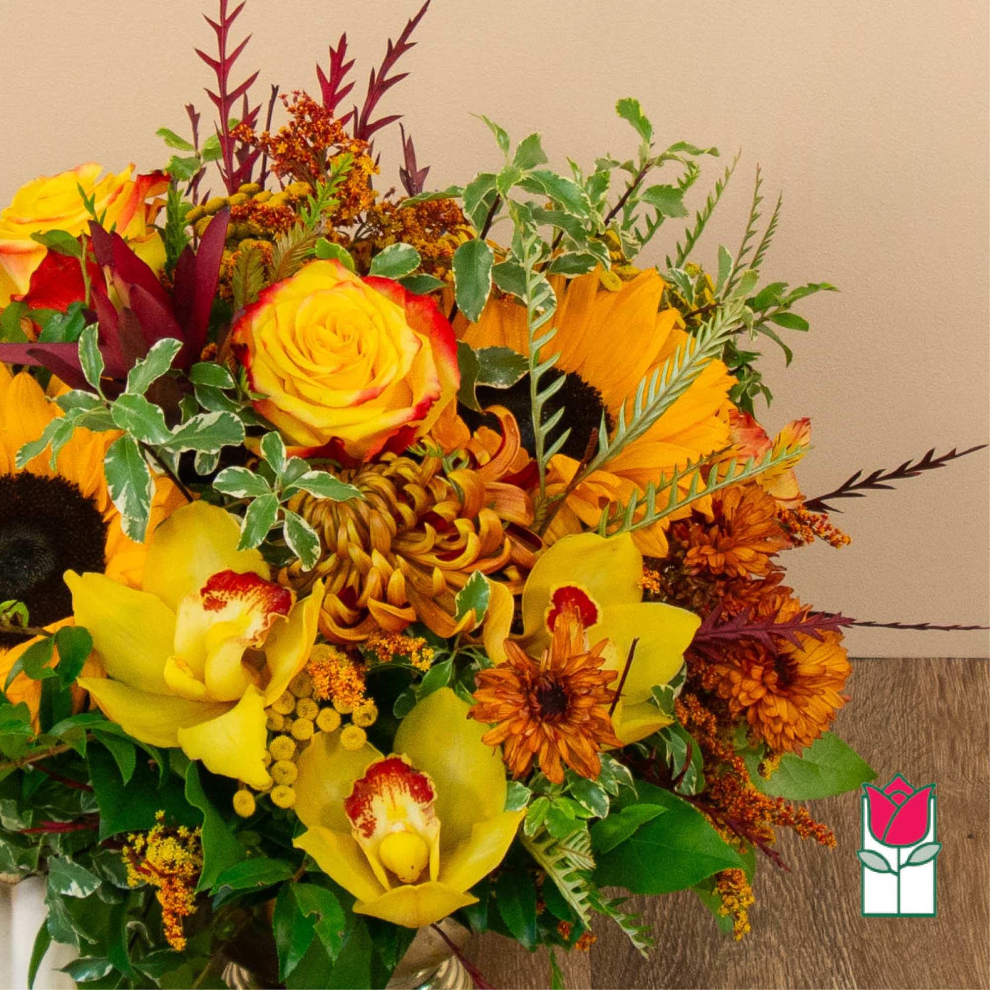 Get ready to embrace the cozy charm of fall with our Beretania