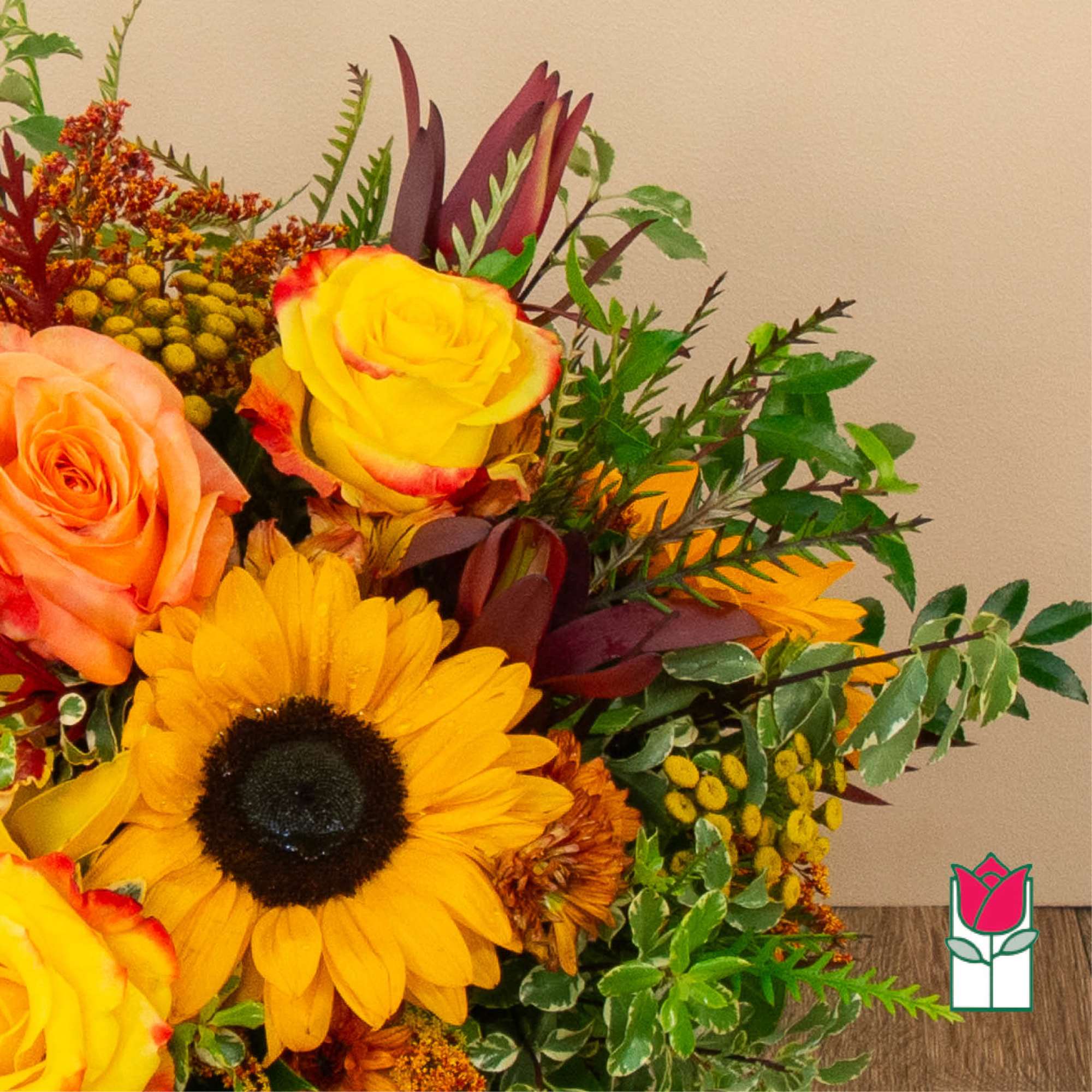 Get ready to embrace the cozy charm of fall with our Beretania