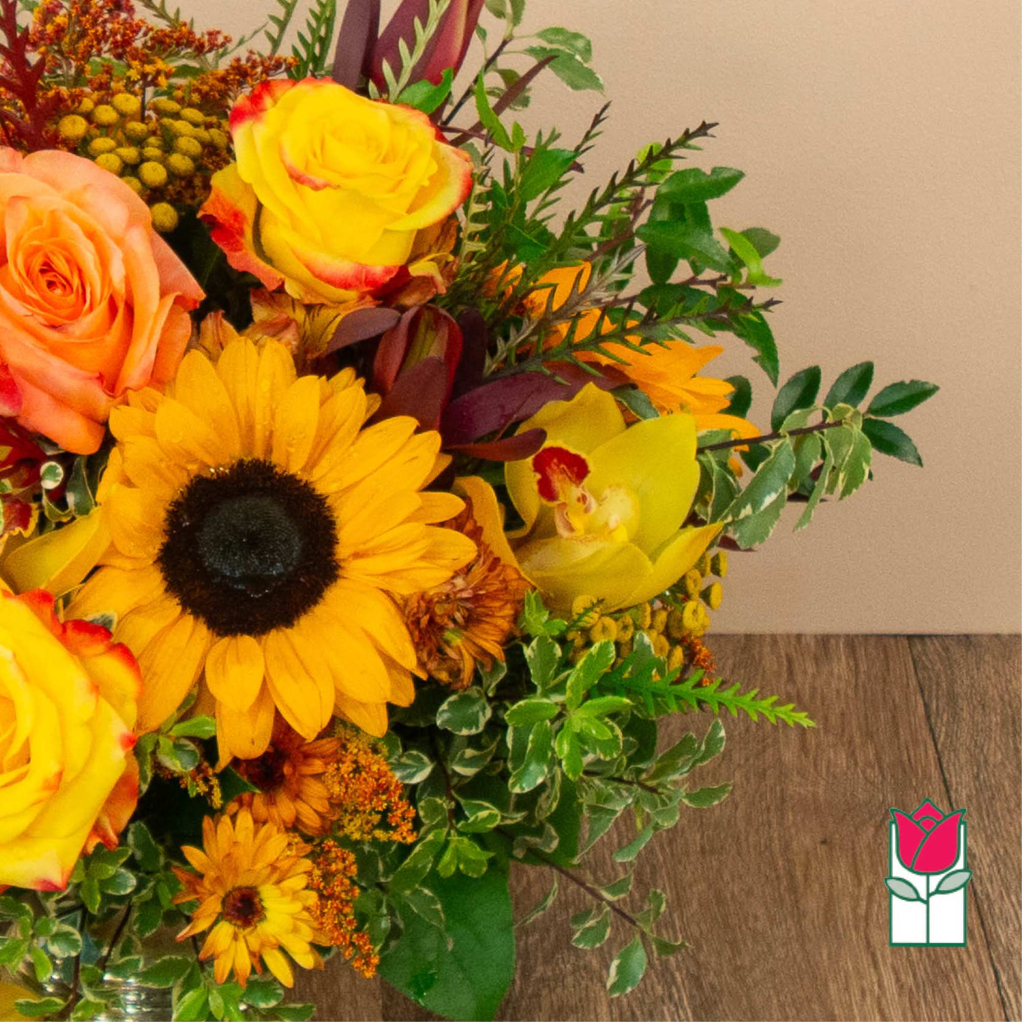 Get ready to embrace the cozy charm of fall with our Beretania