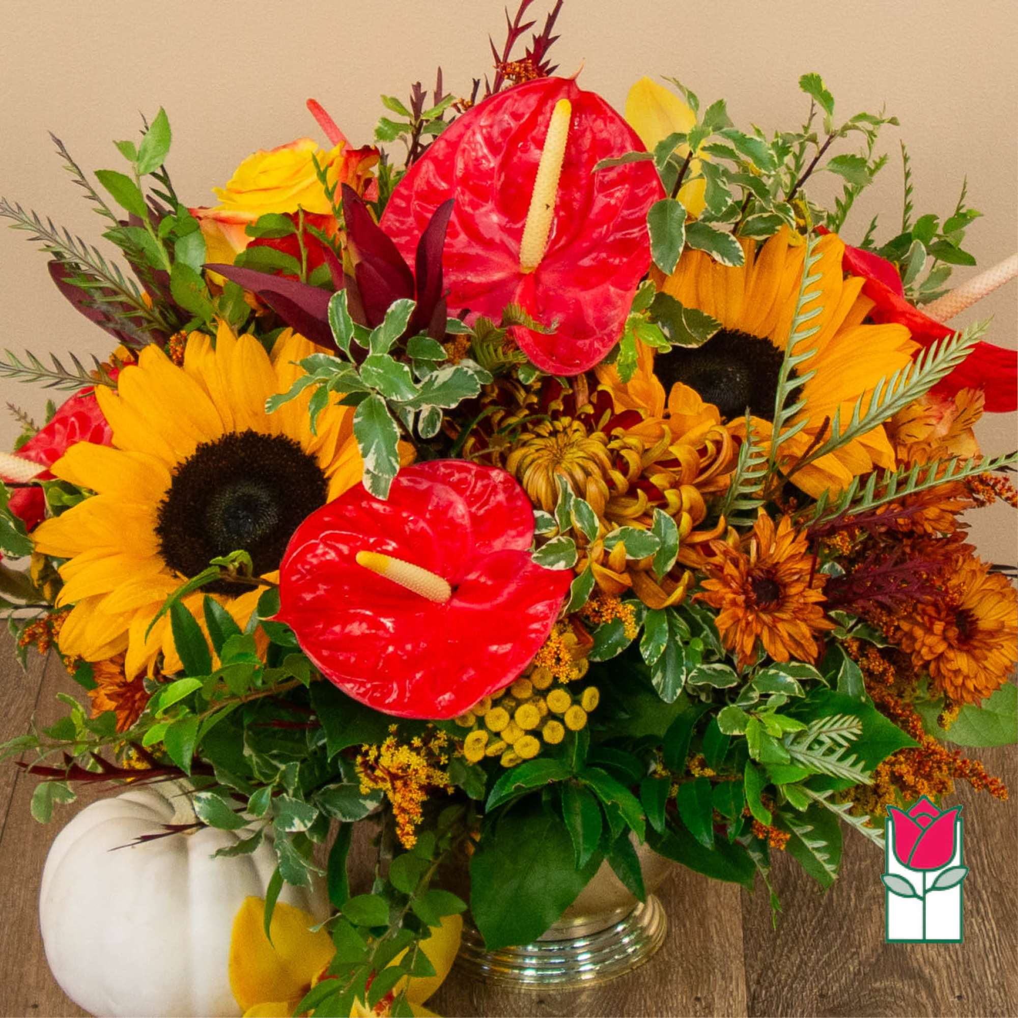 Get ready to embrace the cozy charm of fall with our Beretania