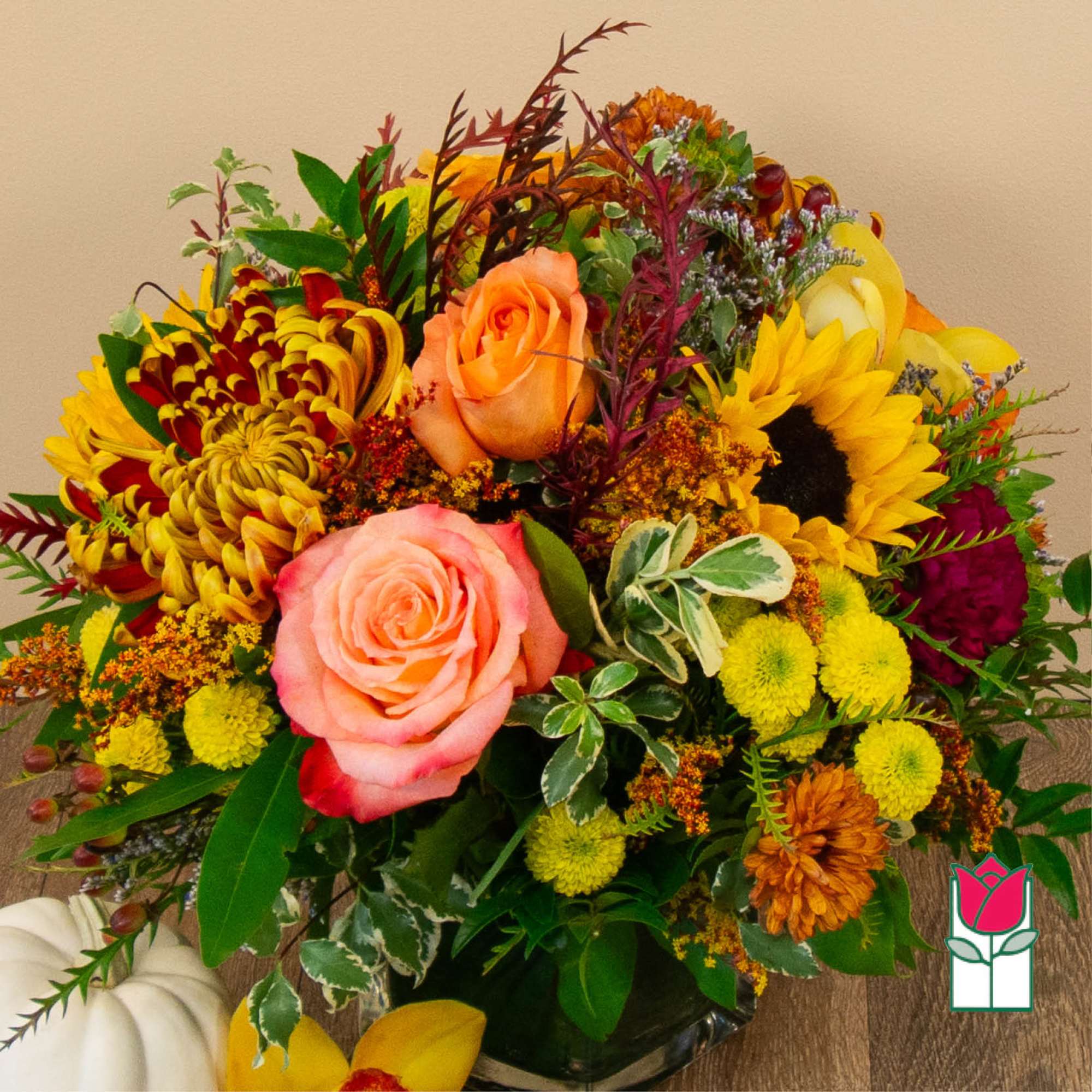 Get ready to embrace the cozy charm of fall with our Beretania