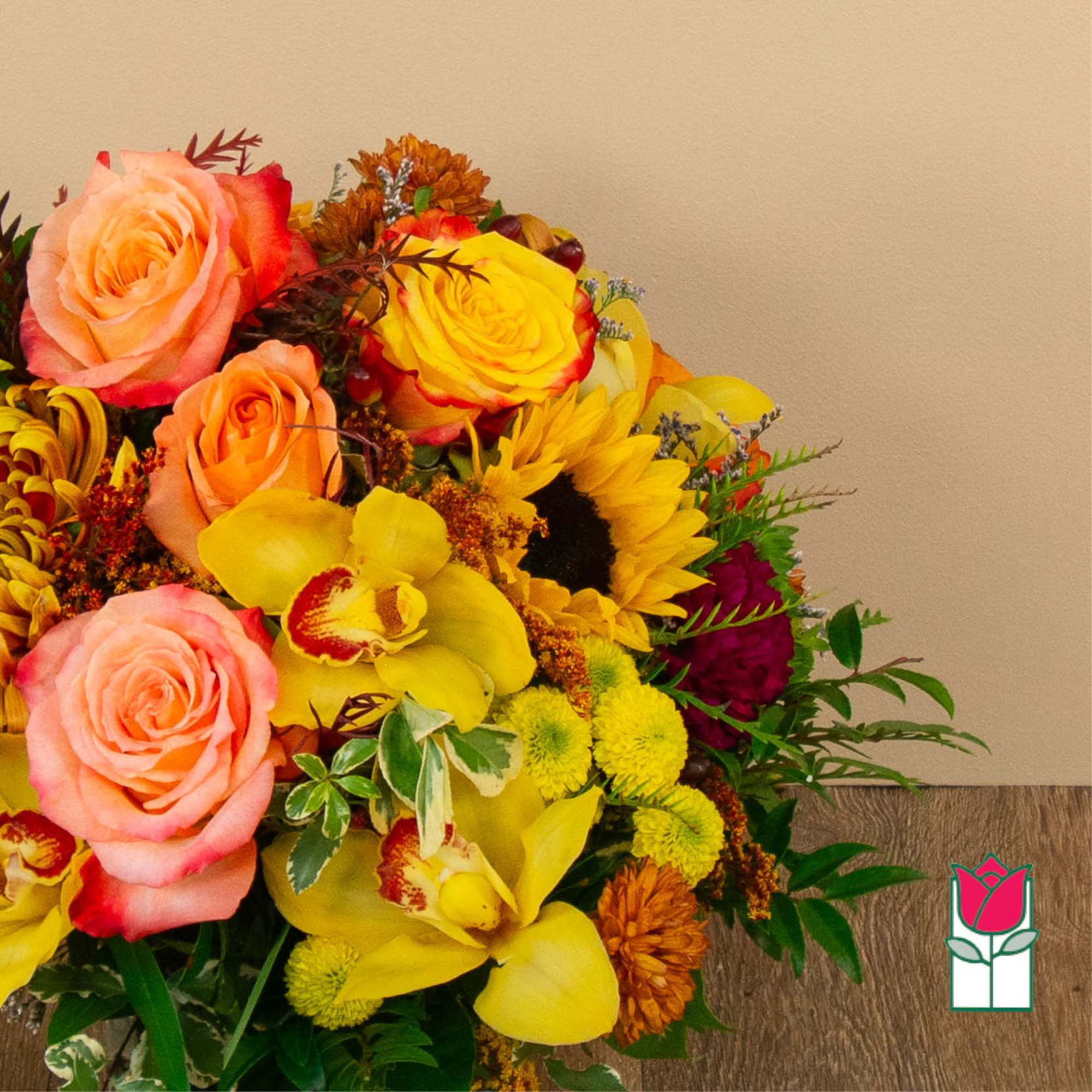 Get ready to embrace the cozy charm of fall with our Beretania