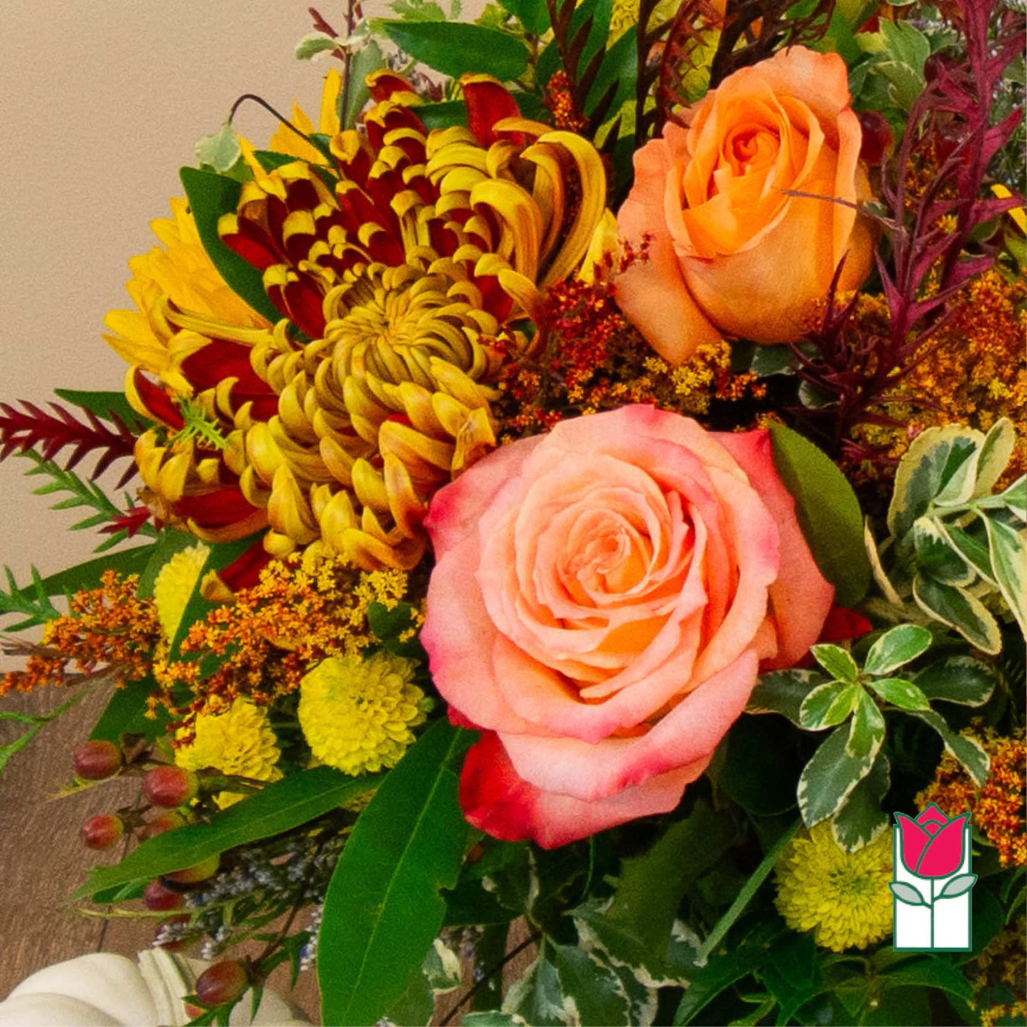 Get ready to embrace the cozy charm of fall with our Beretania