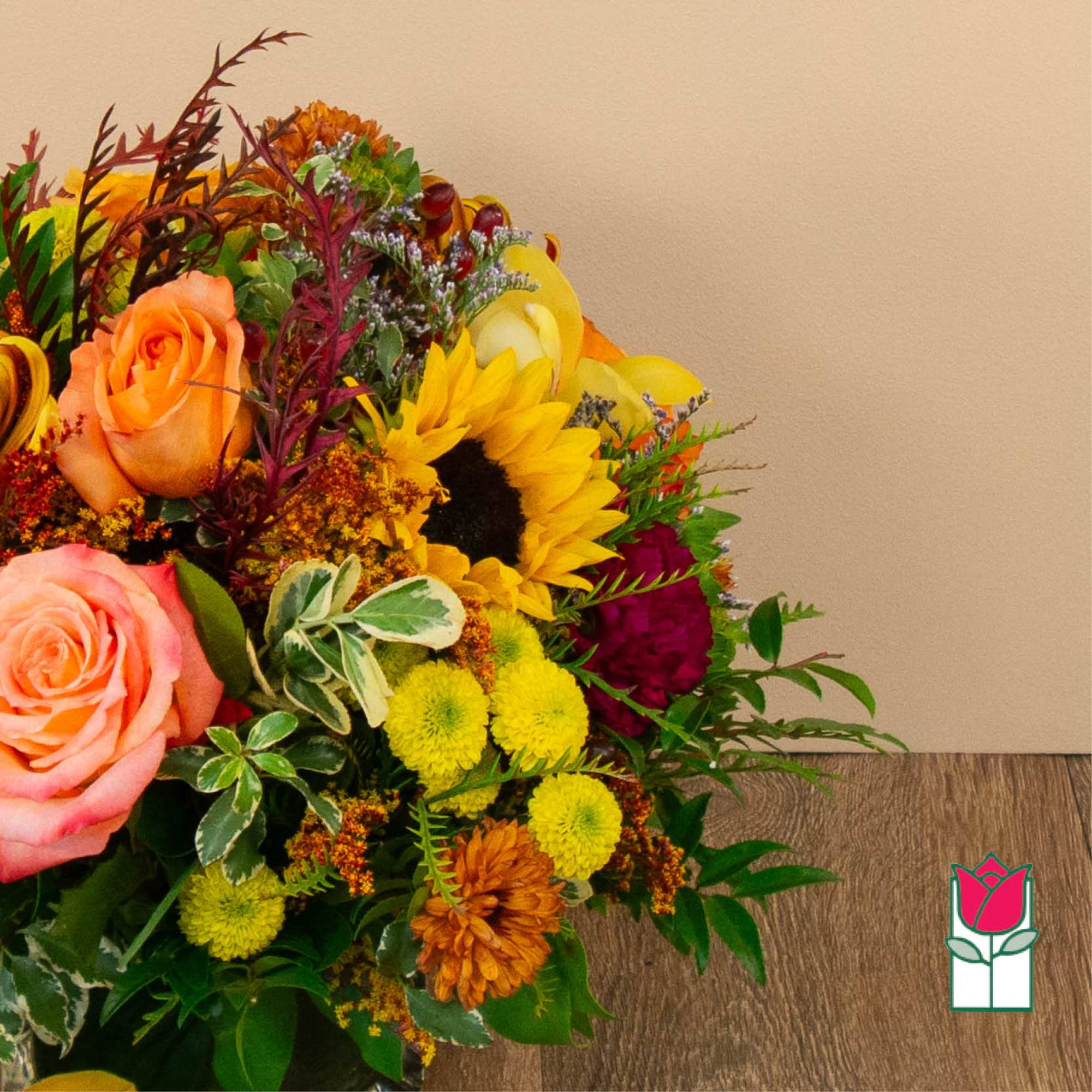 Get ready to embrace the cozy charm of fall with our Beretania