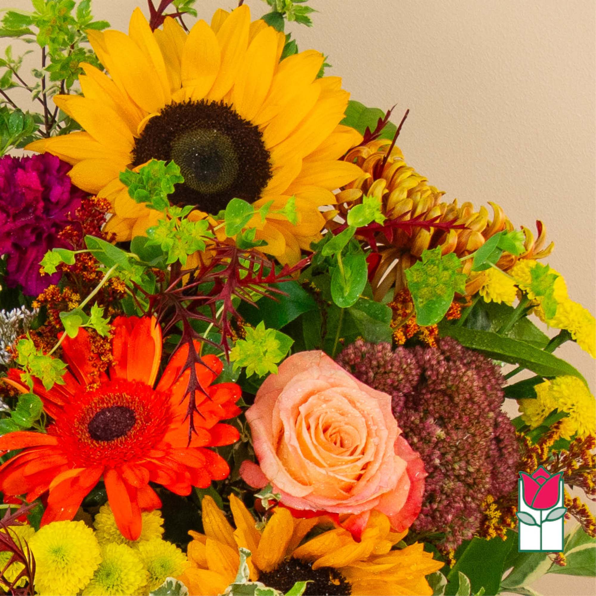 Get ready to embrace the cozy charm of fall with our Beretania