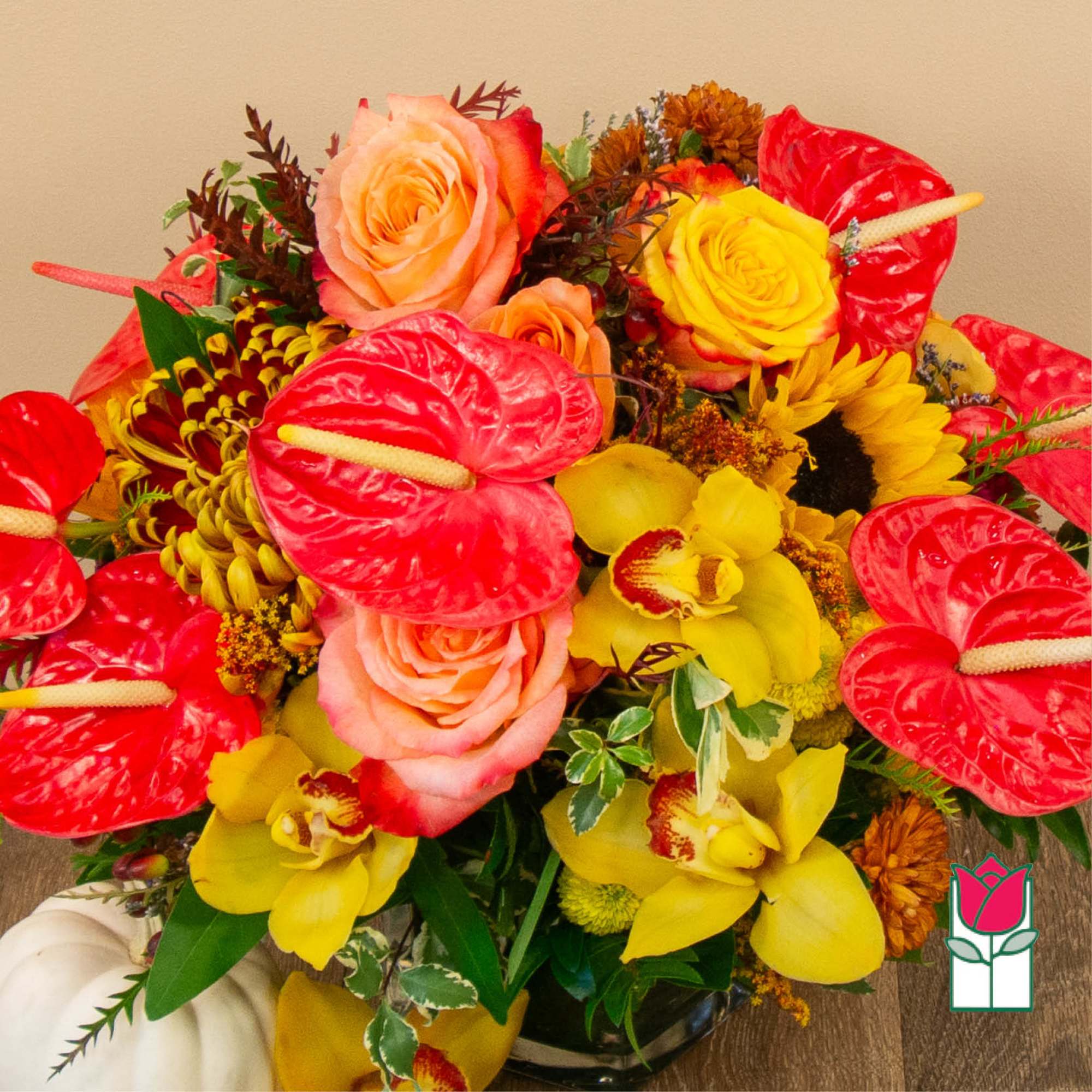 Get ready to embrace the cozy charm of fall with our Beretania