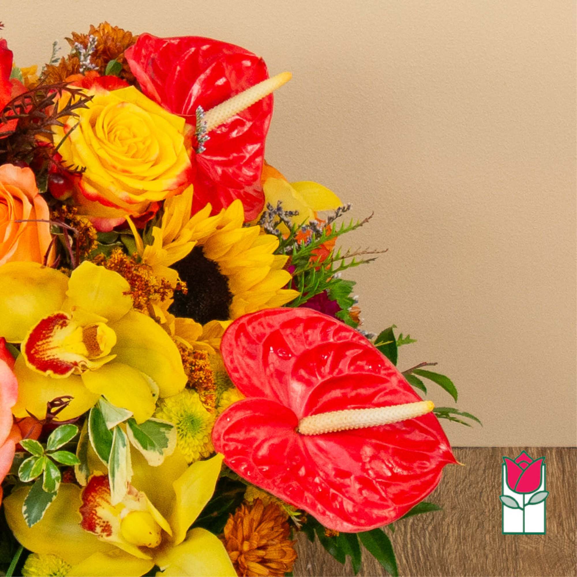 Get ready to embrace the cozy charm of fall with our Beretania