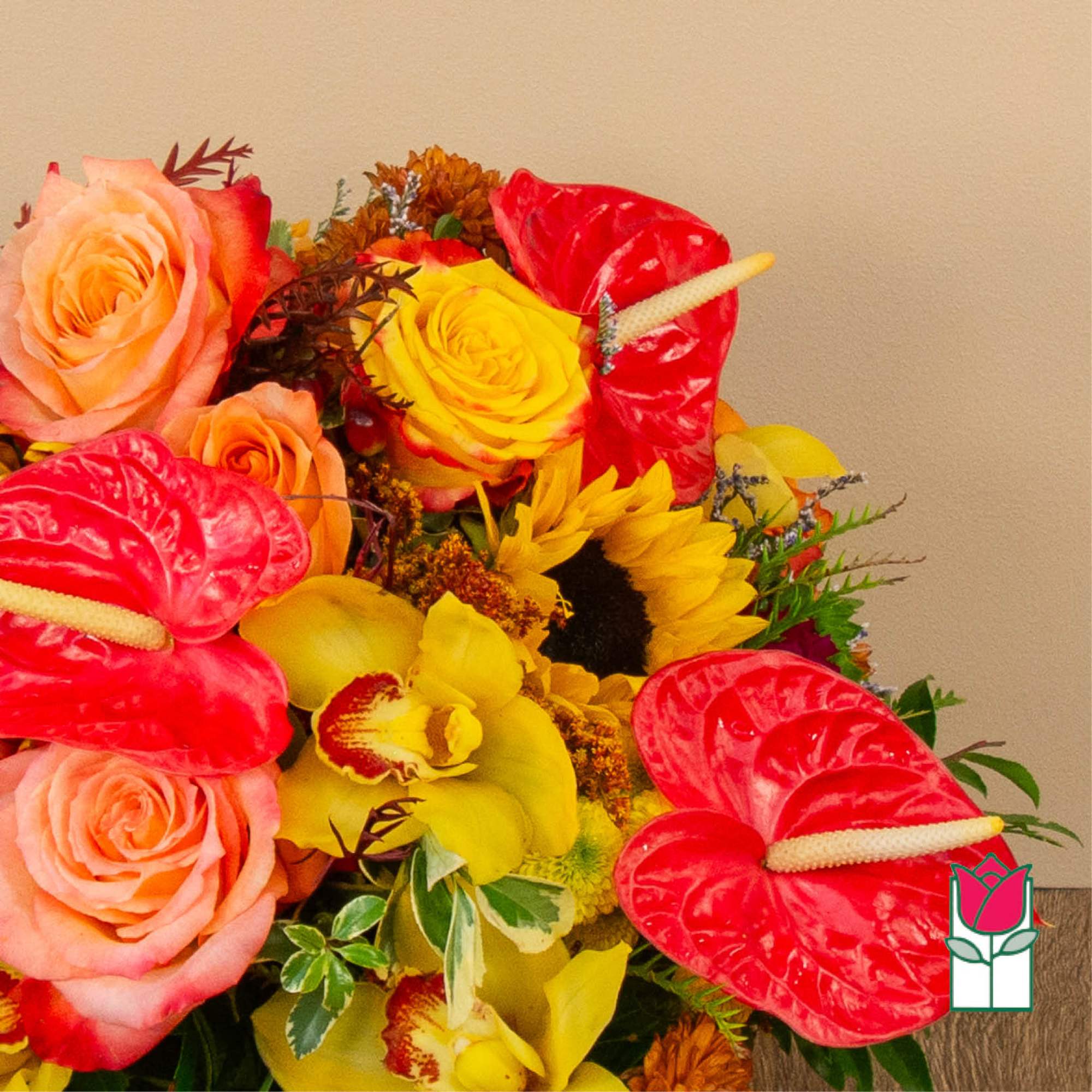 Get ready to embrace the cozy charm of fall with our Beretania