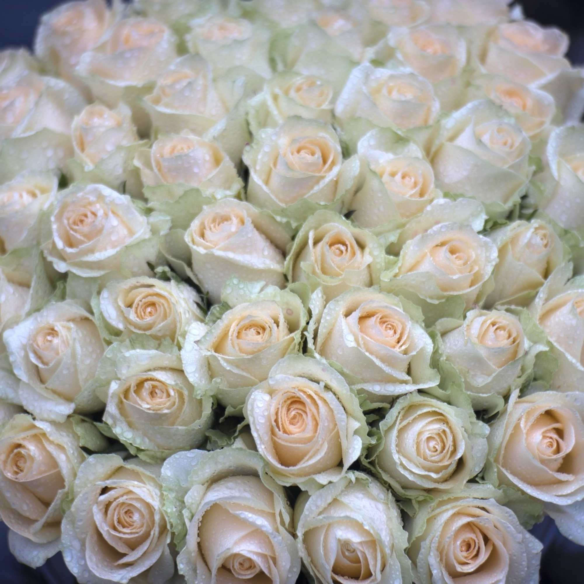 DELUXE is in the picture. - 24 roses.
Same-Day Delivery is usually available