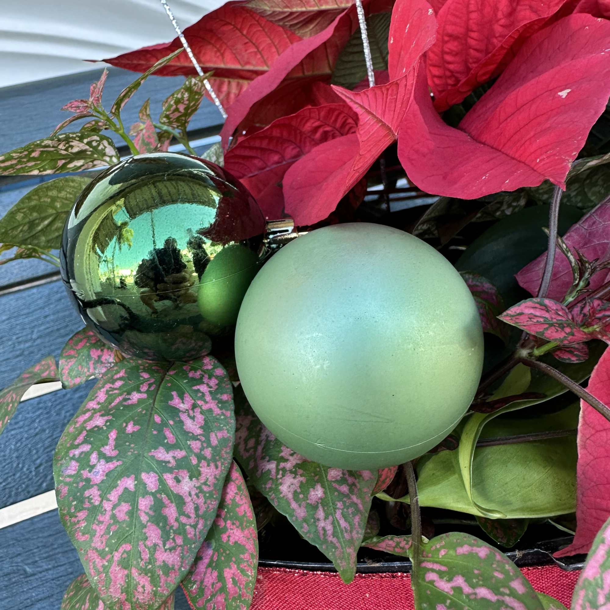 Beautiful seasonal dish garden. Fully loaded with seasonal plants and decoration. 