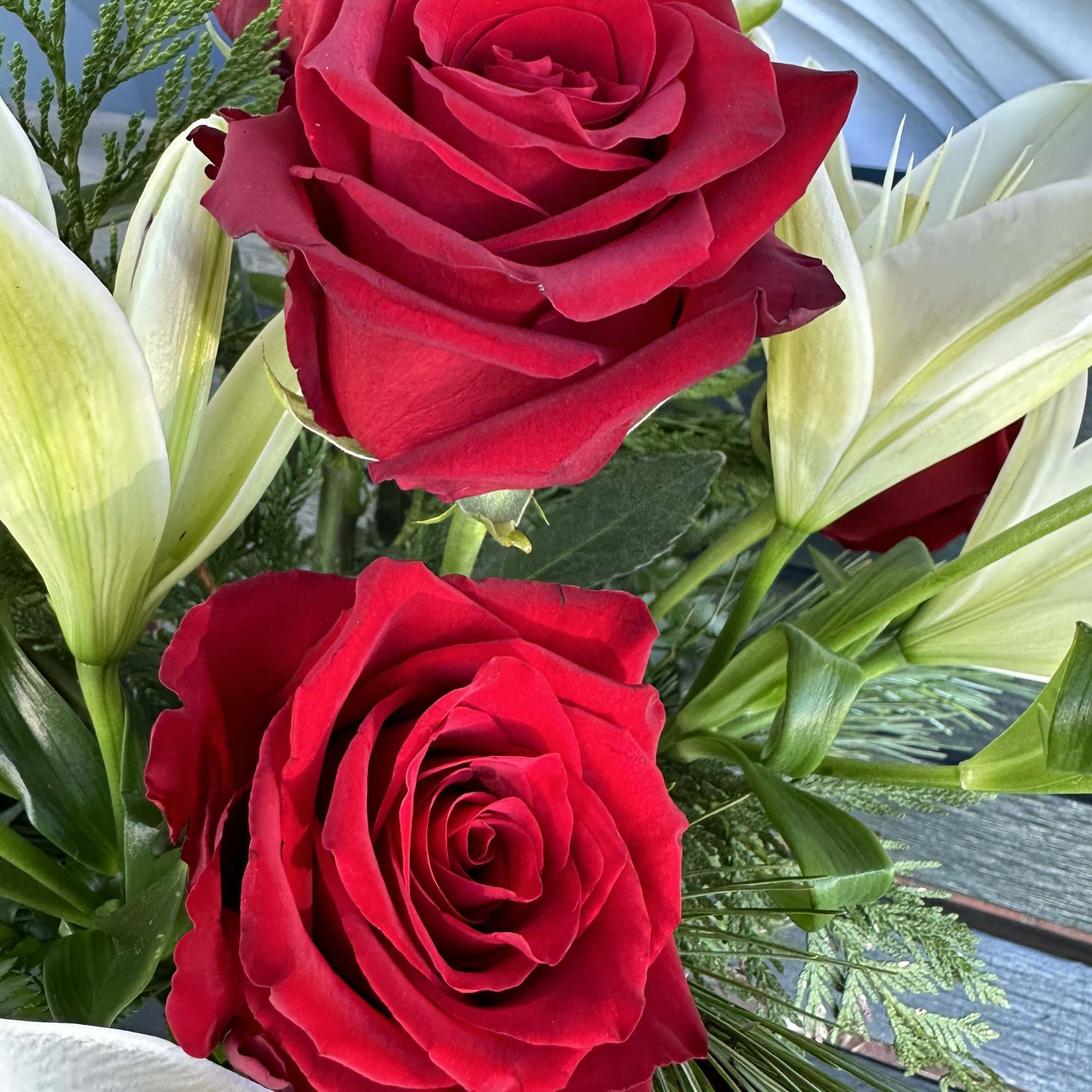 Seasonal designed arrangement in a vase with fresh assorted christmas greens, fresh