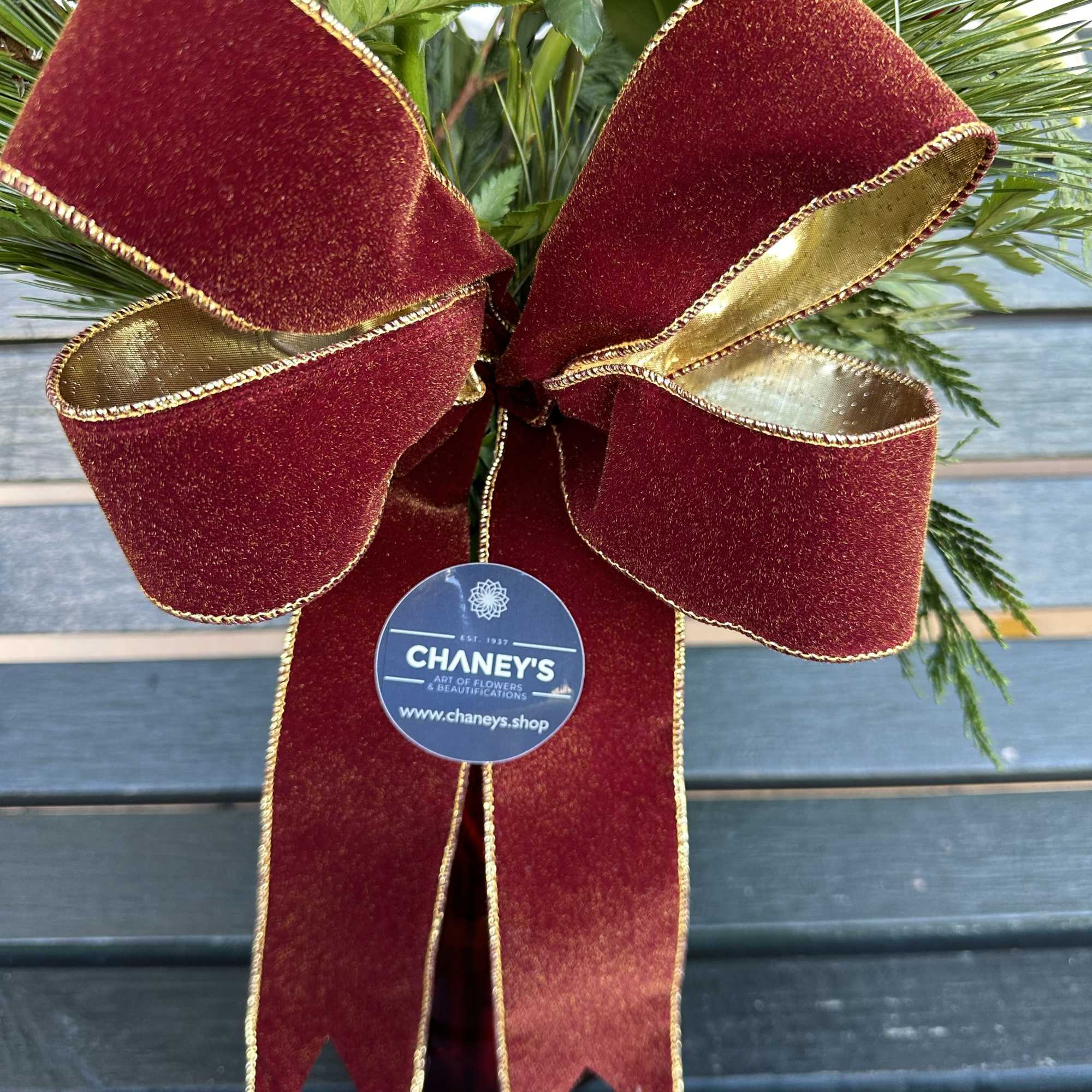 Seasonal designed arrangement in a vase with fresh assorted christmas greens, fresh