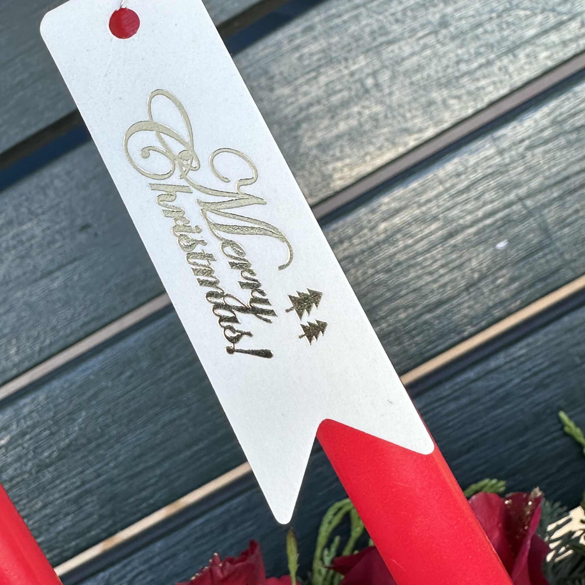 Exceptional fresh cut Christmas design! An exclusive gift and very stylish seasonal