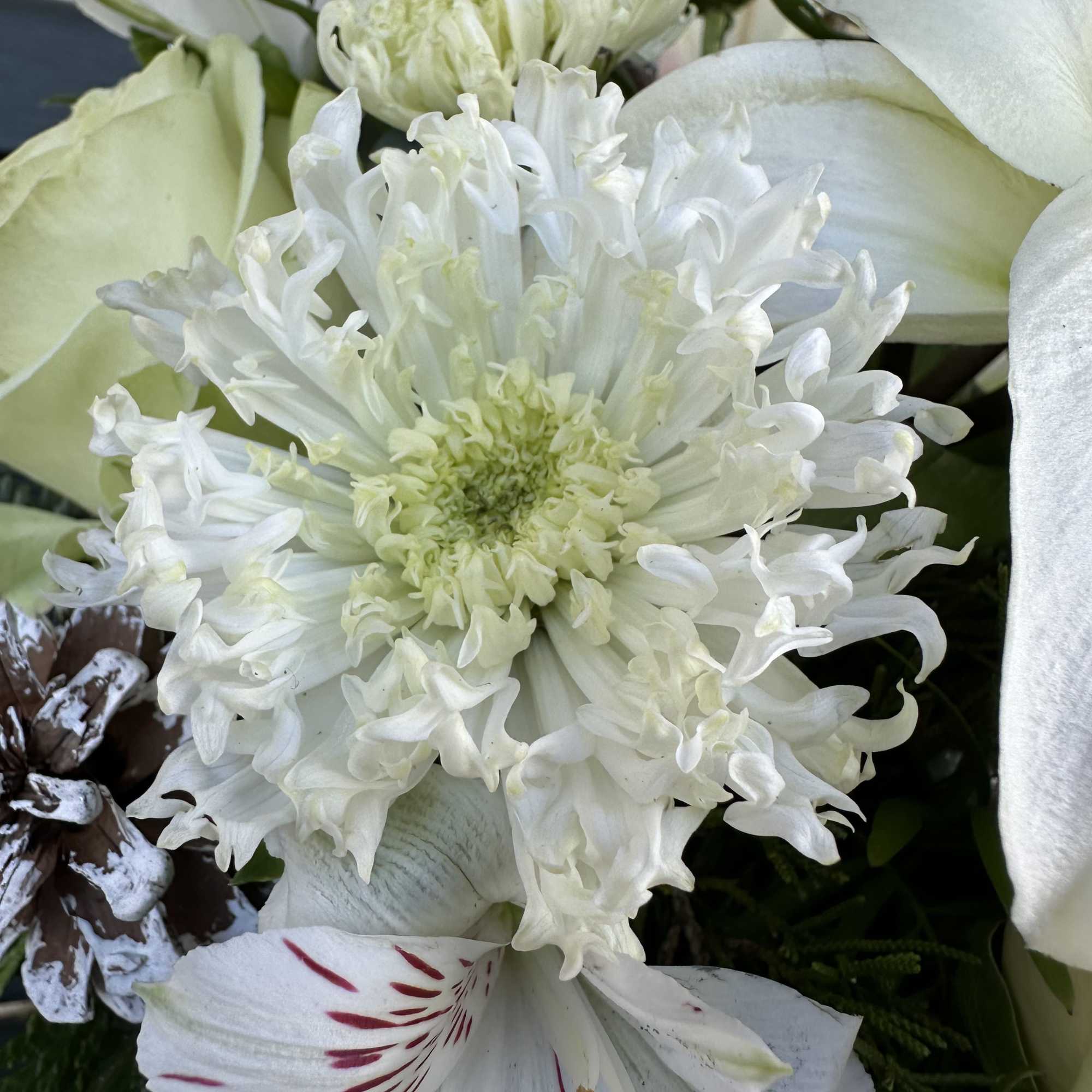 Dreaming of a white Christmas? This seasonal floral design box is your