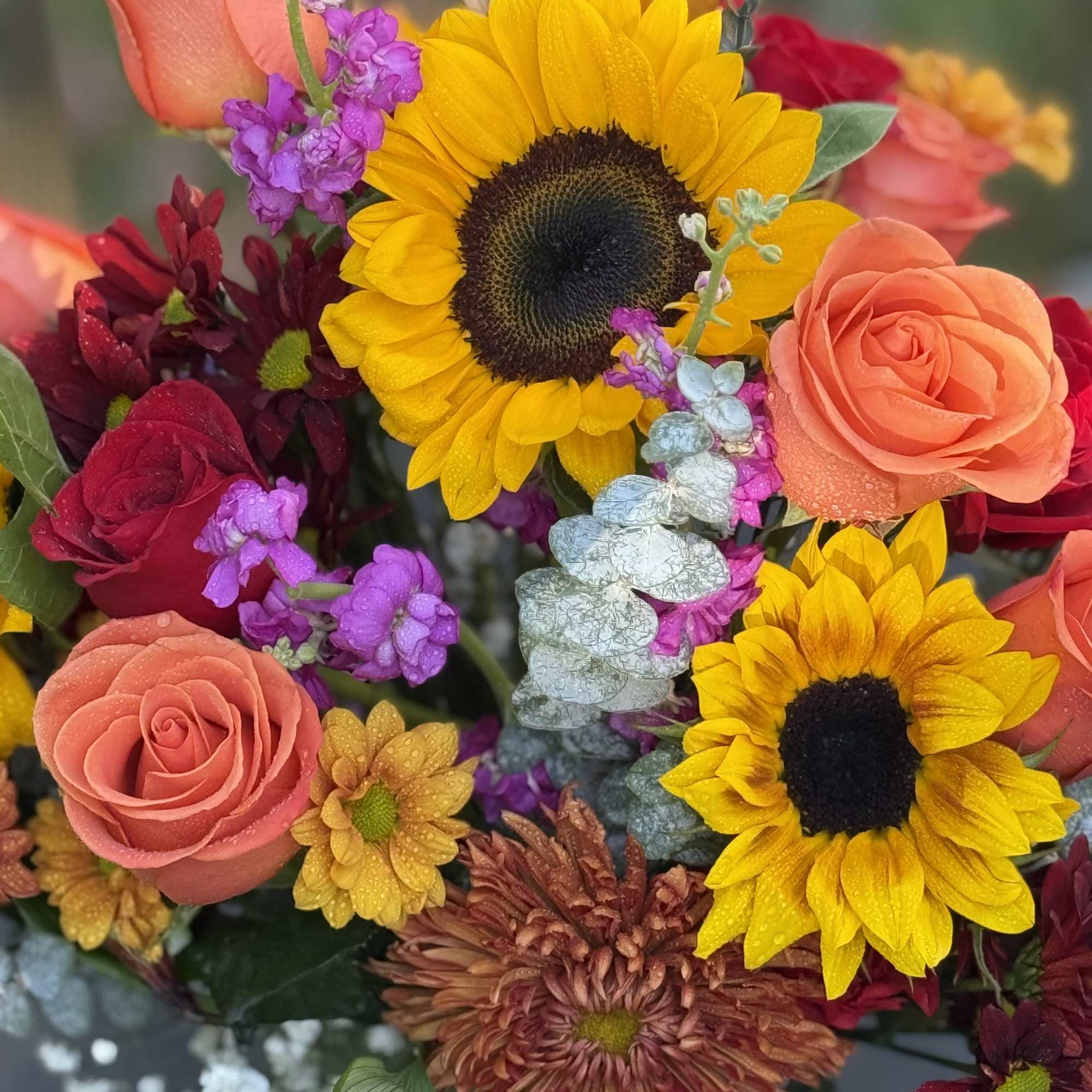 Sunflowers,roses,and so much more 