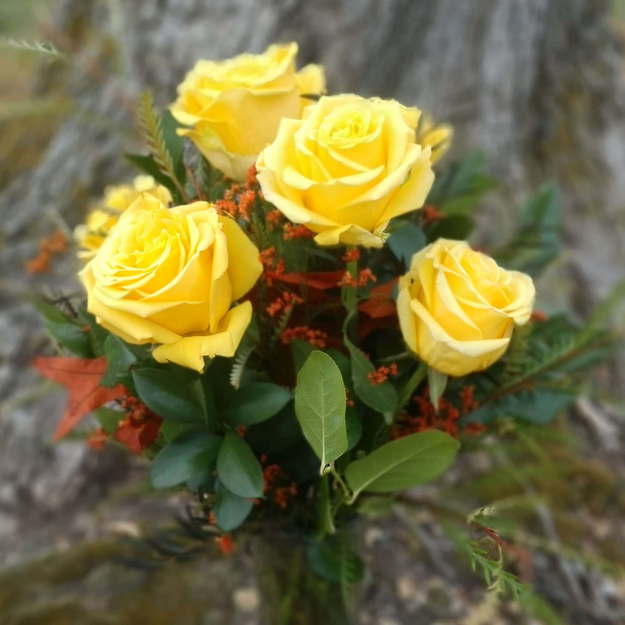 Send a message of caring or to just say I&#039;m thinking of