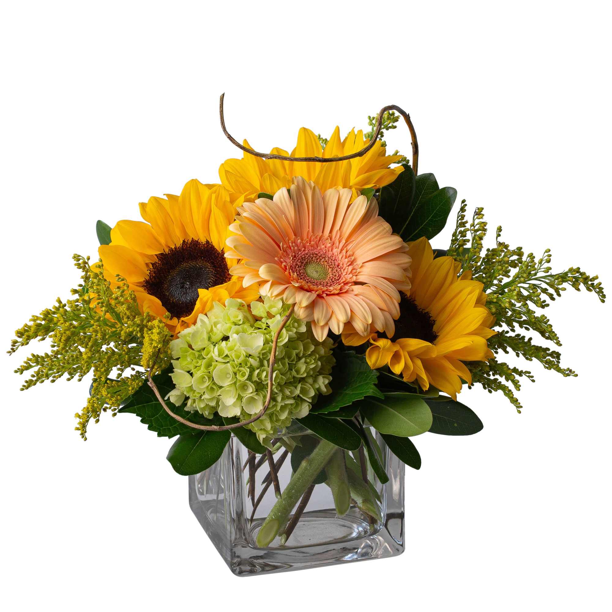 They will all be cheering! Sunshine Spirit will spread the love. Flowers