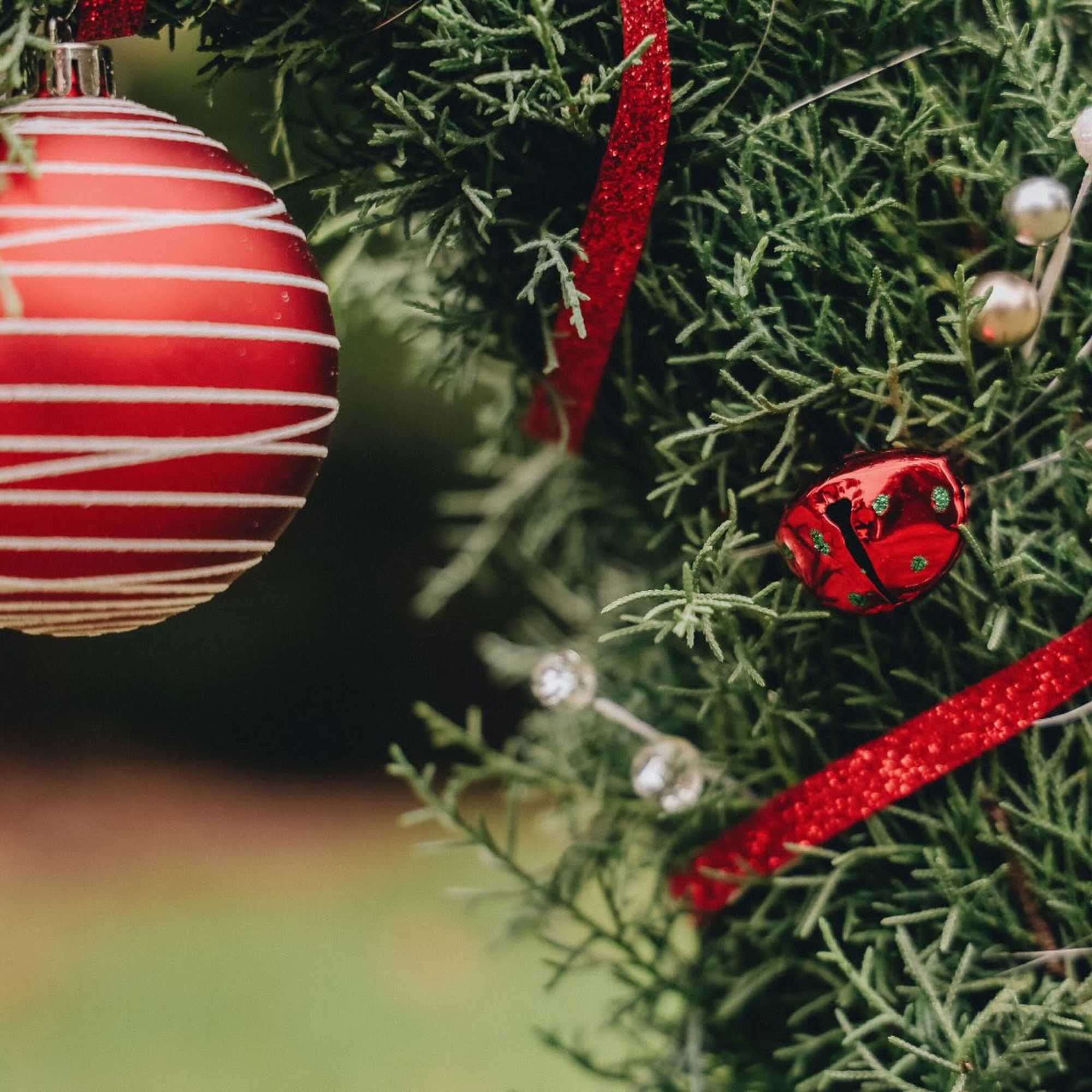 Our popular Whooville Tree is back!!

Choose from:

Our Signature Whooville Tree - This