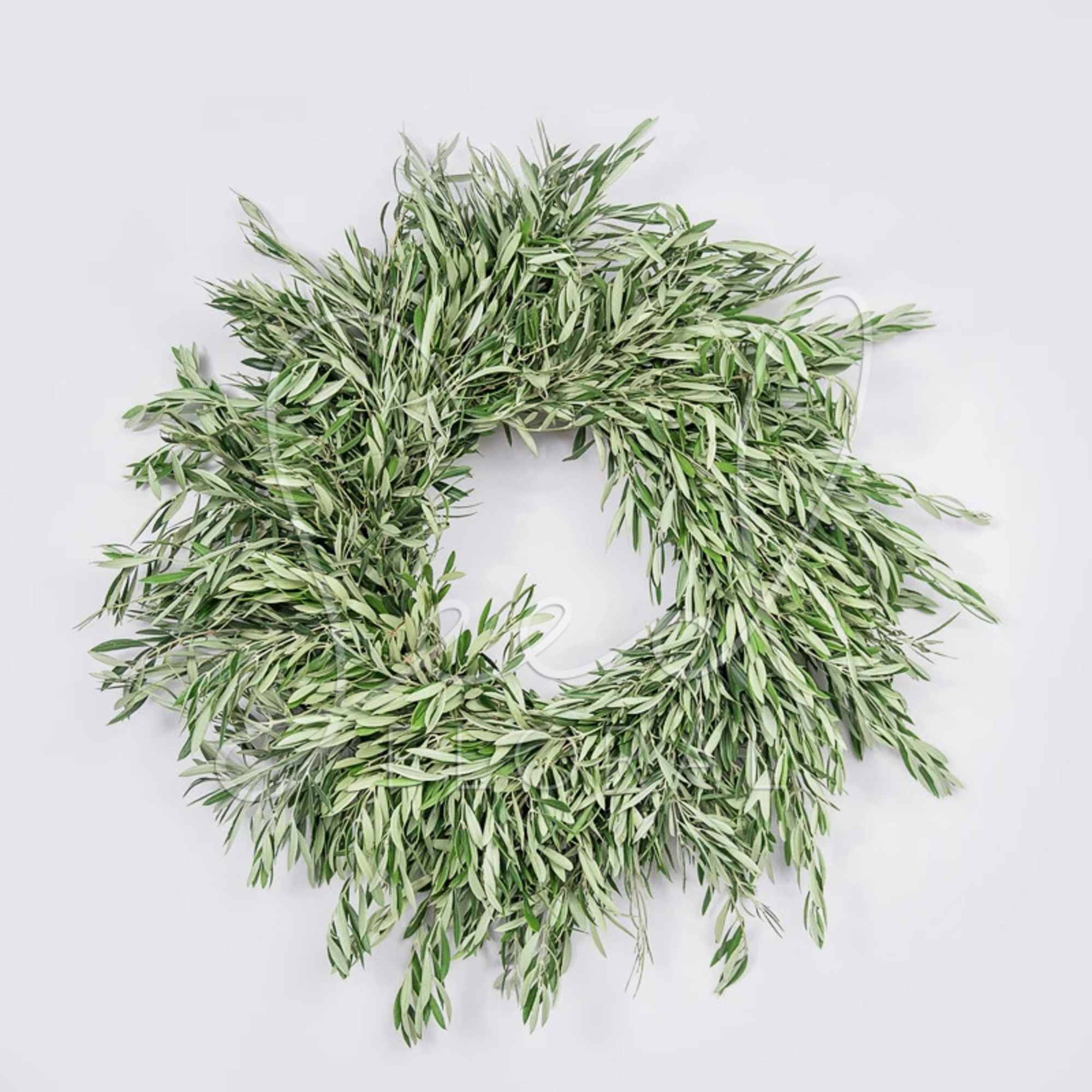 Our fresh 24&quot; wreath brims with olive branches harvested from sunny California