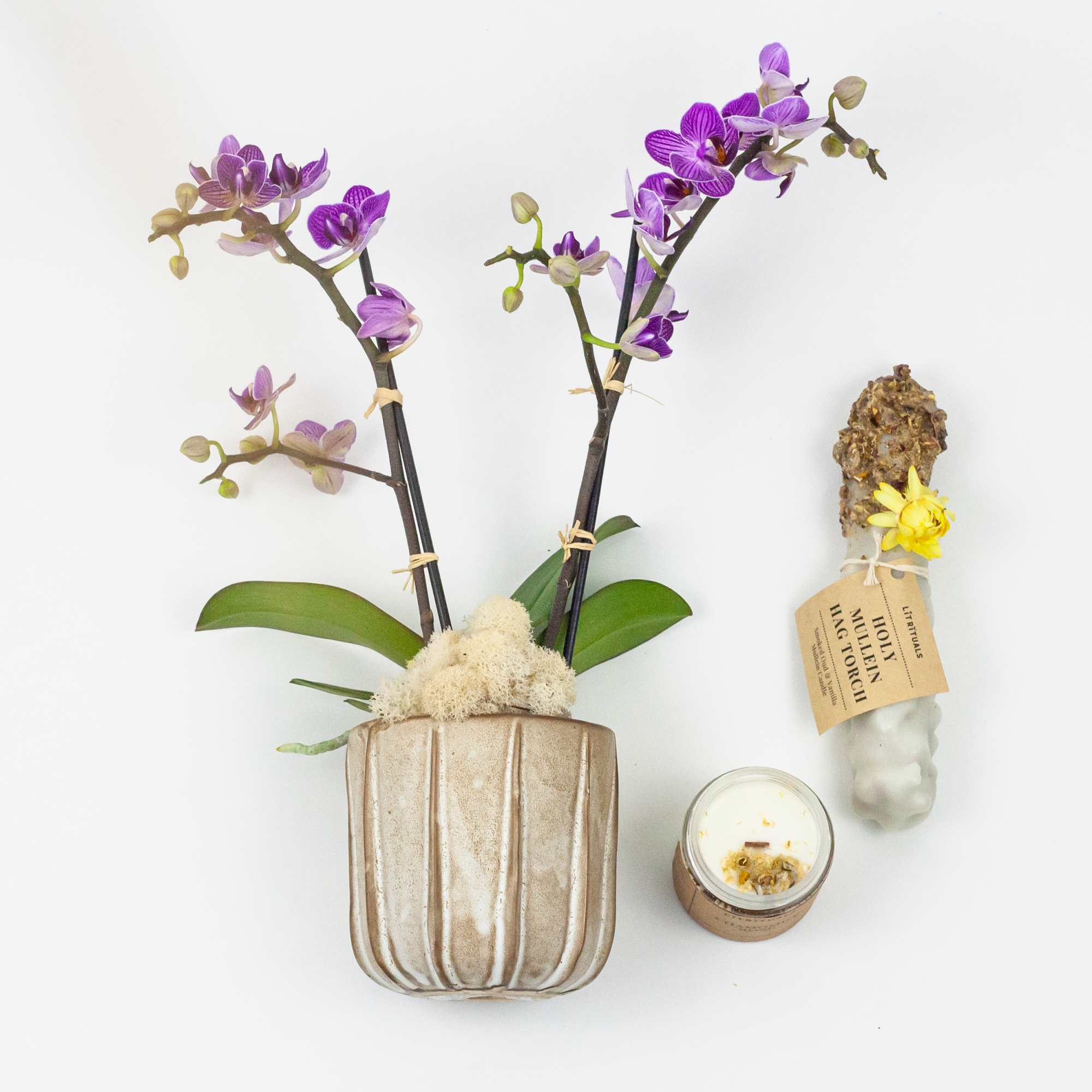 PEACEFUL MIND GIFT SET
Sol Ambiance is proud to support these artists and