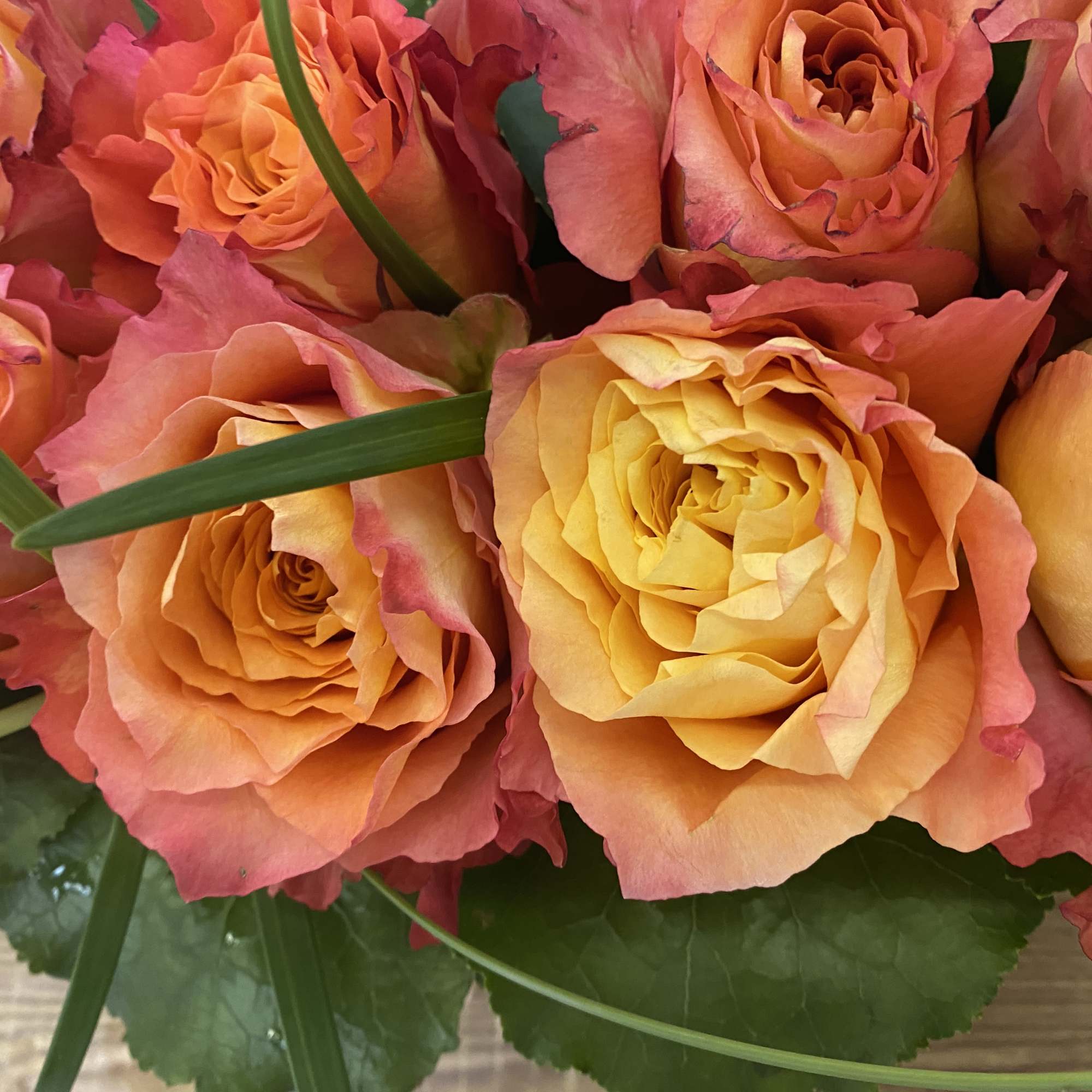 Modern Bamboo Tray with Two-Tone Roses &ndash; by Jane&rsquo;s Roses, San Francisco