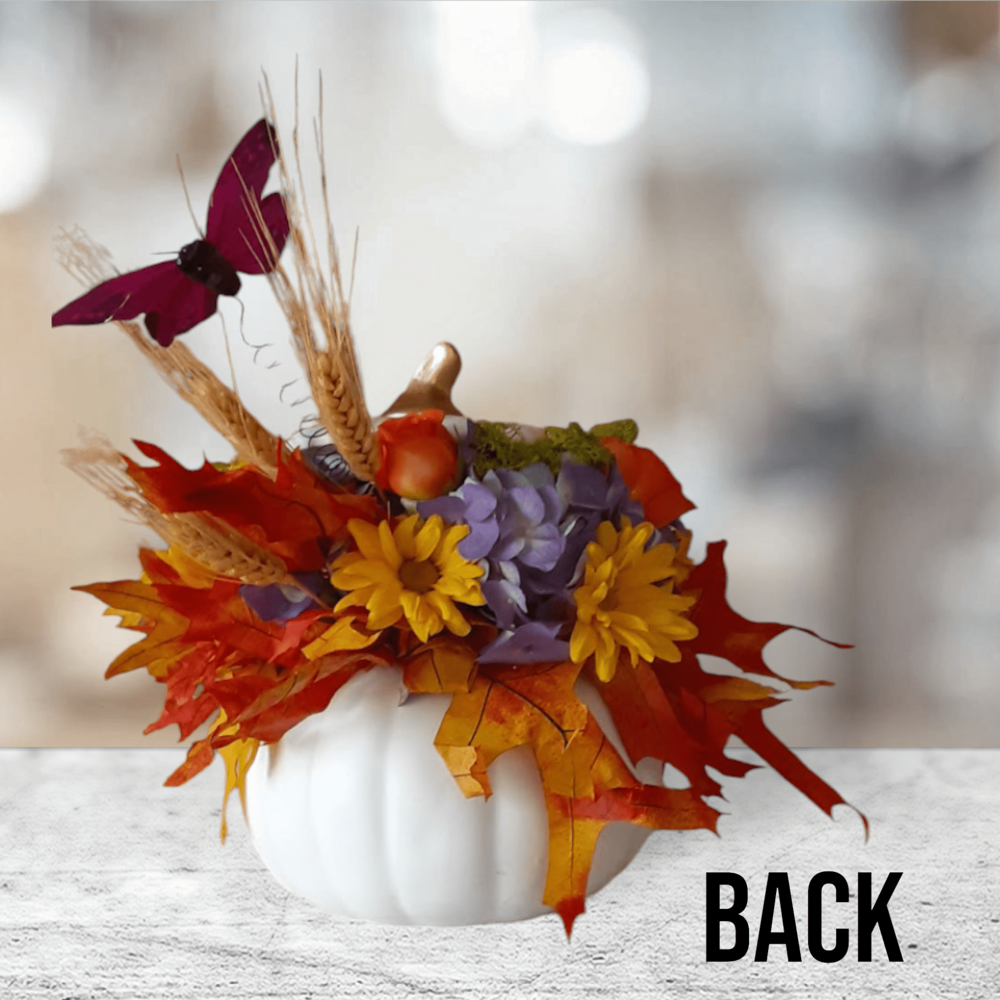 High style comes to the pumpkin patch!!
Embrace the beauty of fall with High style comes to the pumpkin patch!!
Embrace the beauty of fall with