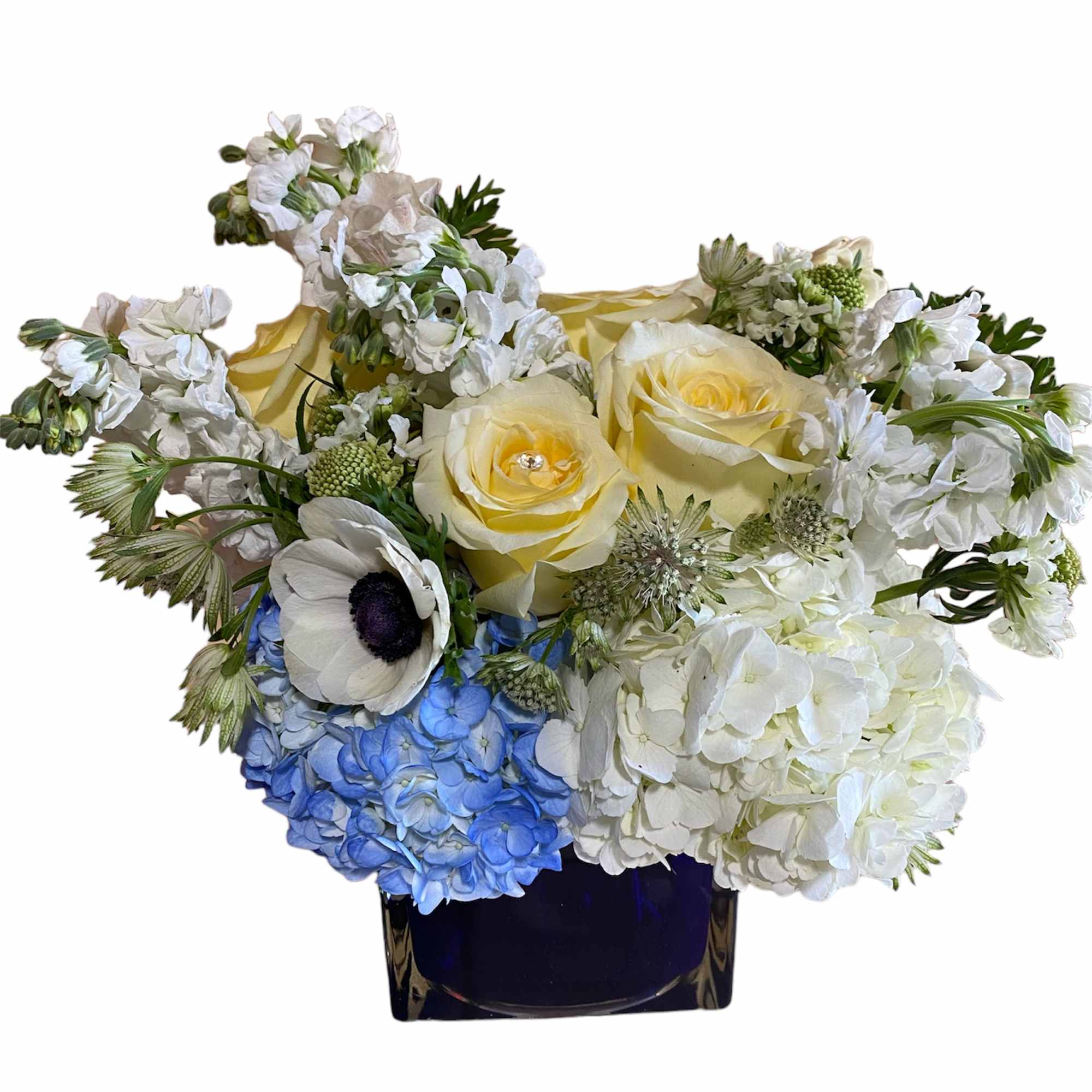 We are constantly surrounded by lights. Incandescent lights, fluorescent lights, the northern