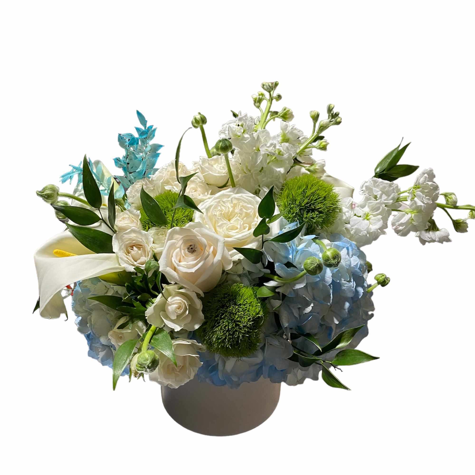 We are constantly surrounded by lights. Incandescent lights, fluorescent lights, the northern