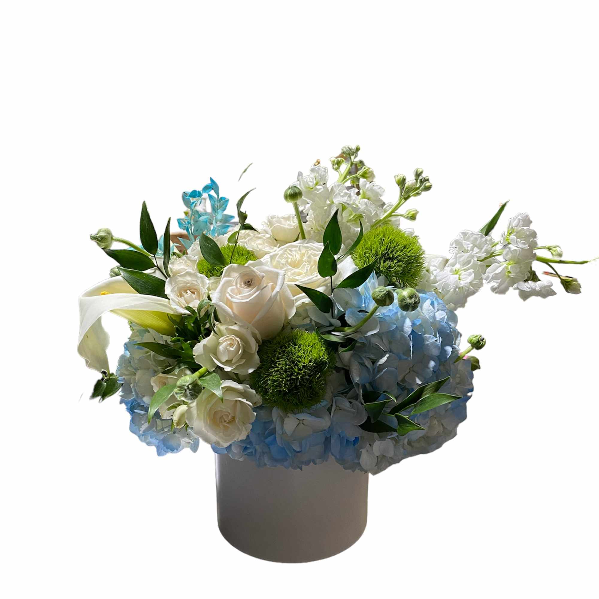 We are constantly surrounded by lights. Incandescent lights, fluorescent lights, the northern