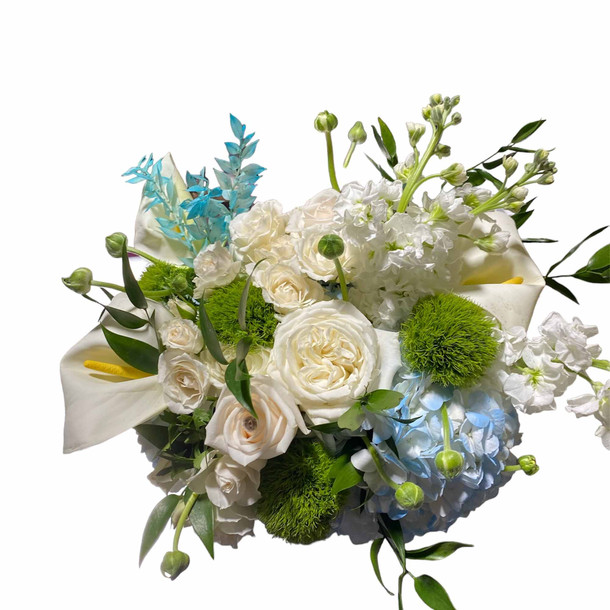 We are constantly surrounded by lights. Incandescent lights, fluorescent lights, the northern