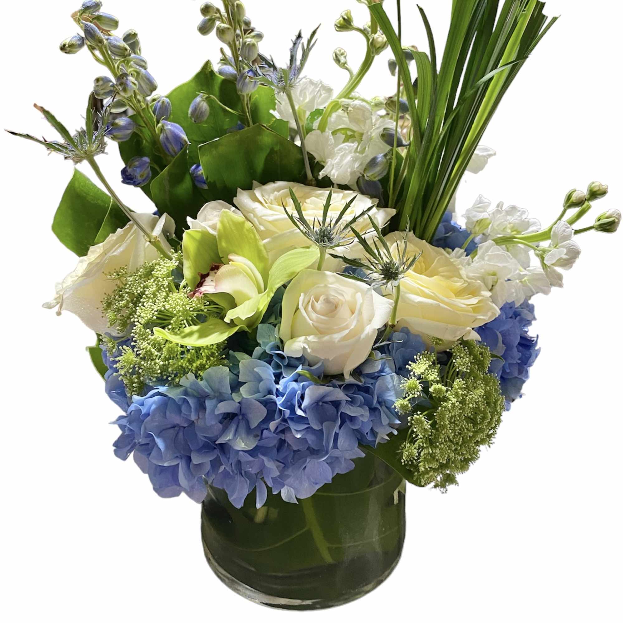 We are constantly surrounded by lights. Incandescent lights, fluorescent lights, the northern