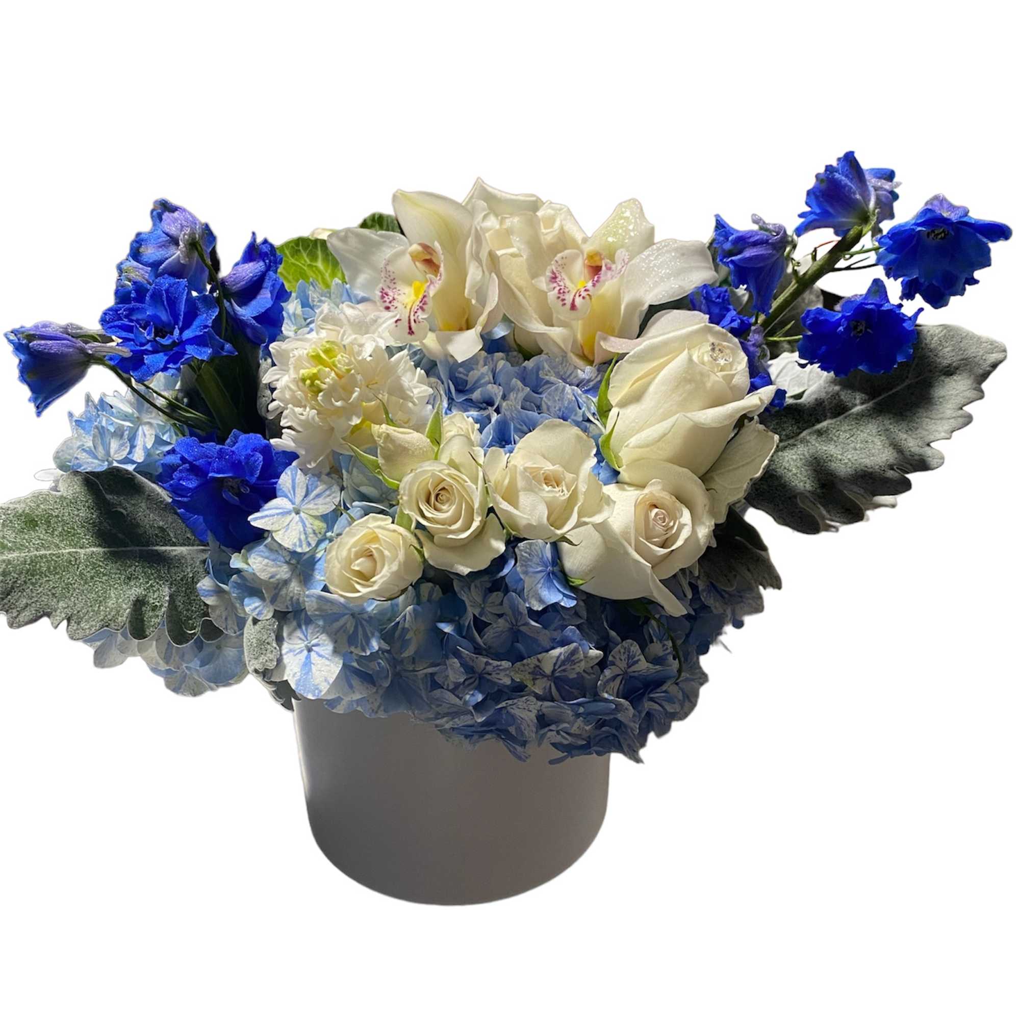 We are constantly surrounded by lights. Incandescent lights, fluorescent lights, the northern