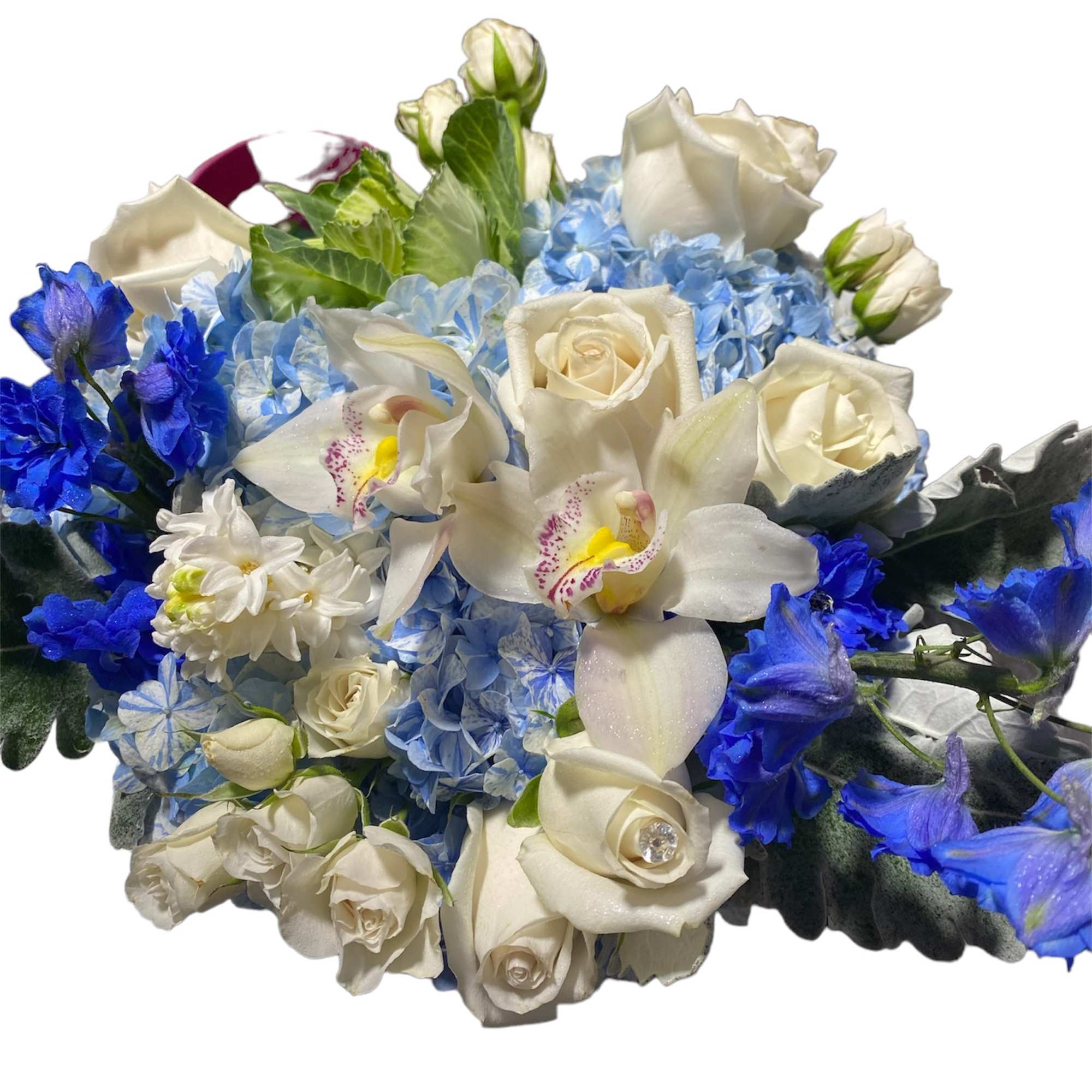 We are constantly surrounded by lights. Incandescent lights, fluorescent lights, the northern