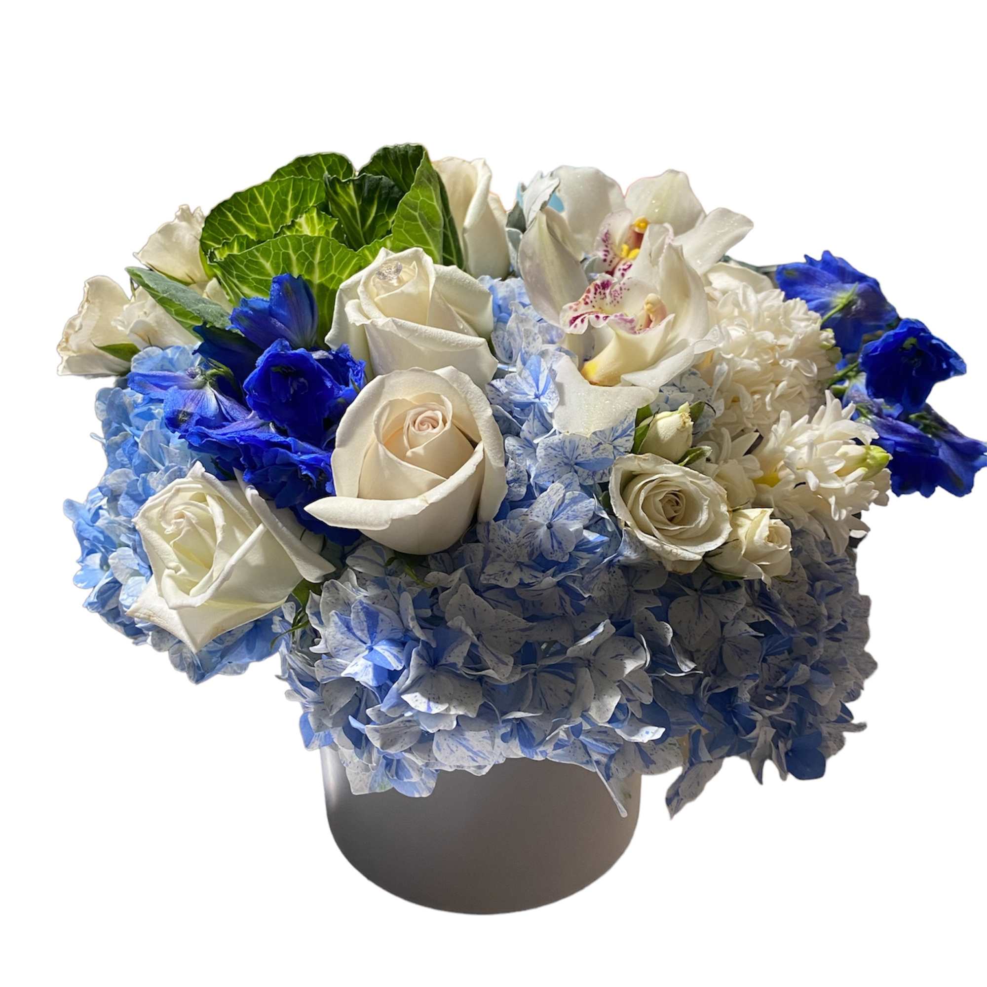 We are constantly surrounded by lights. Incandescent lights, fluorescent lights, the northern