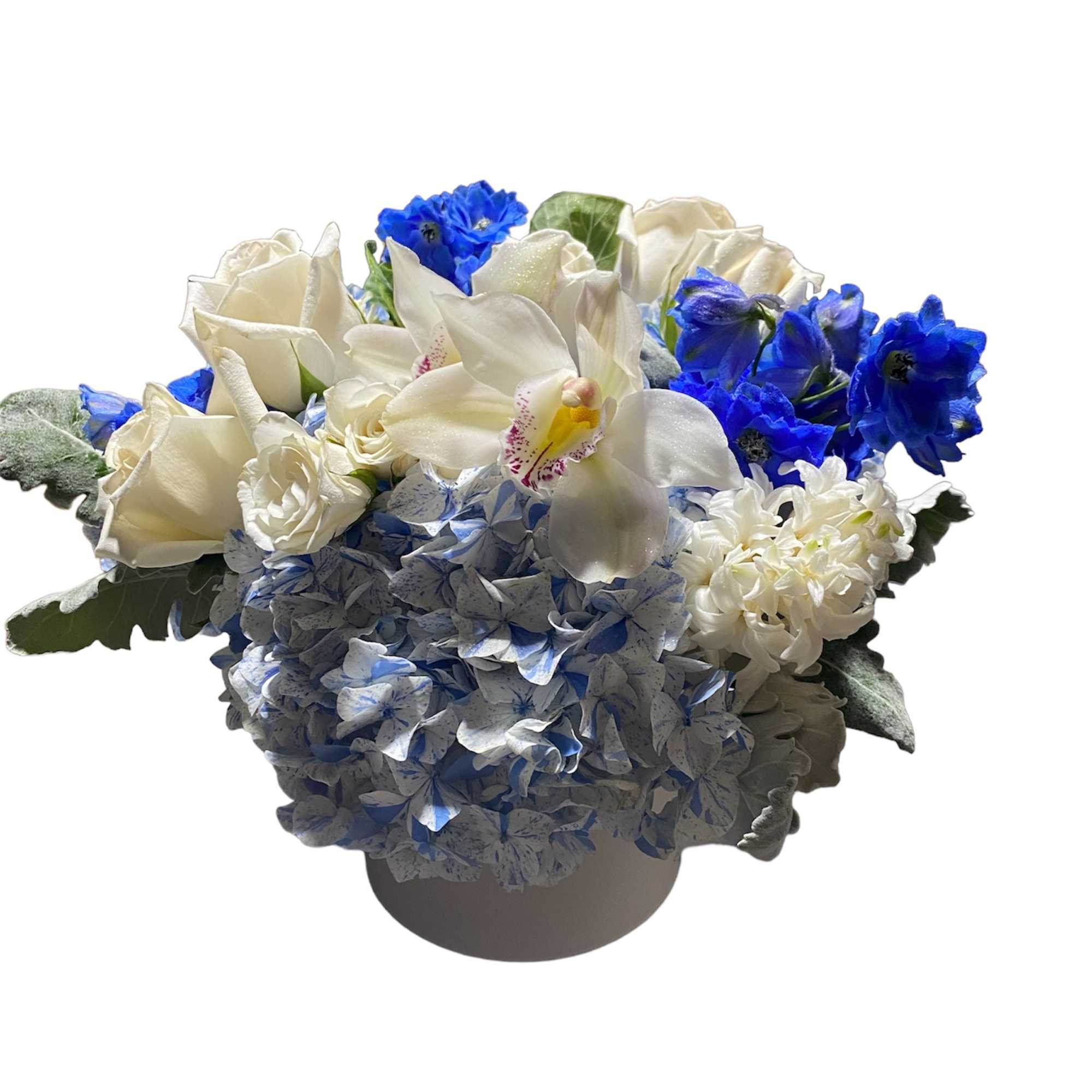 We are constantly surrounded by lights. Incandescent lights, fluorescent lights, the northern