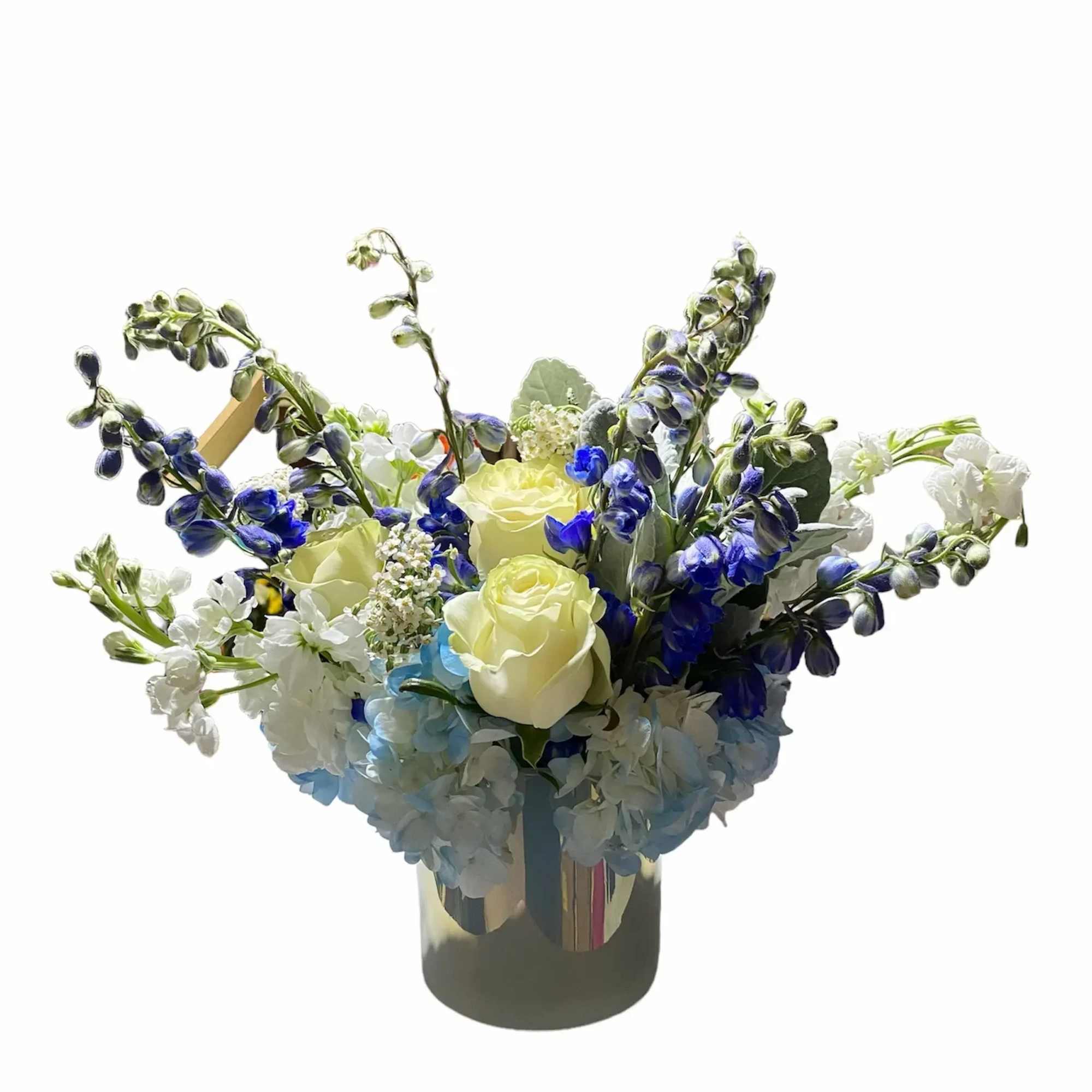 We are constantly surrounded by lights. Incandescent lights, fluorescent lights, the northern