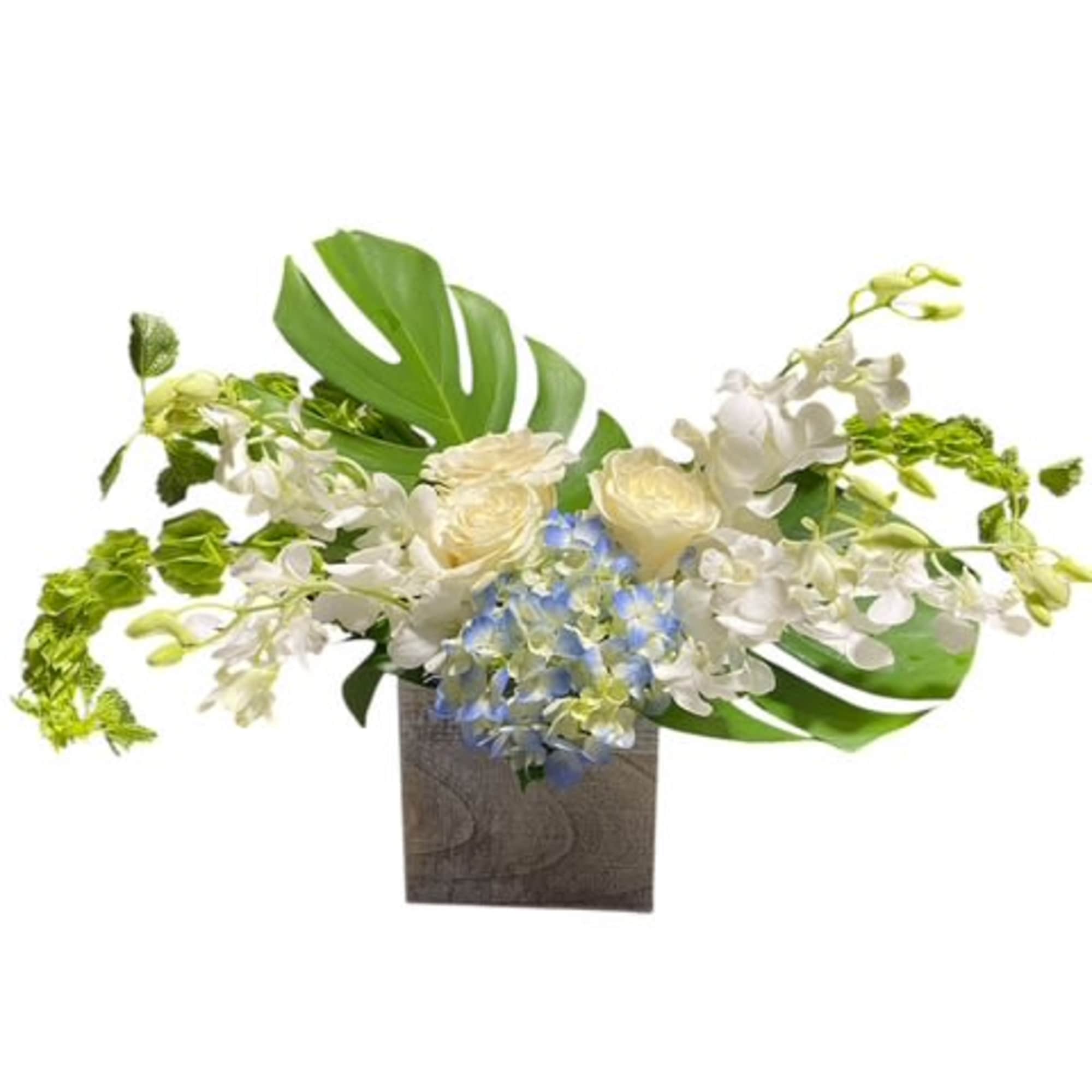 We are constantly surrounded by lights. Incandescent lights, fluorescent lights, the northern