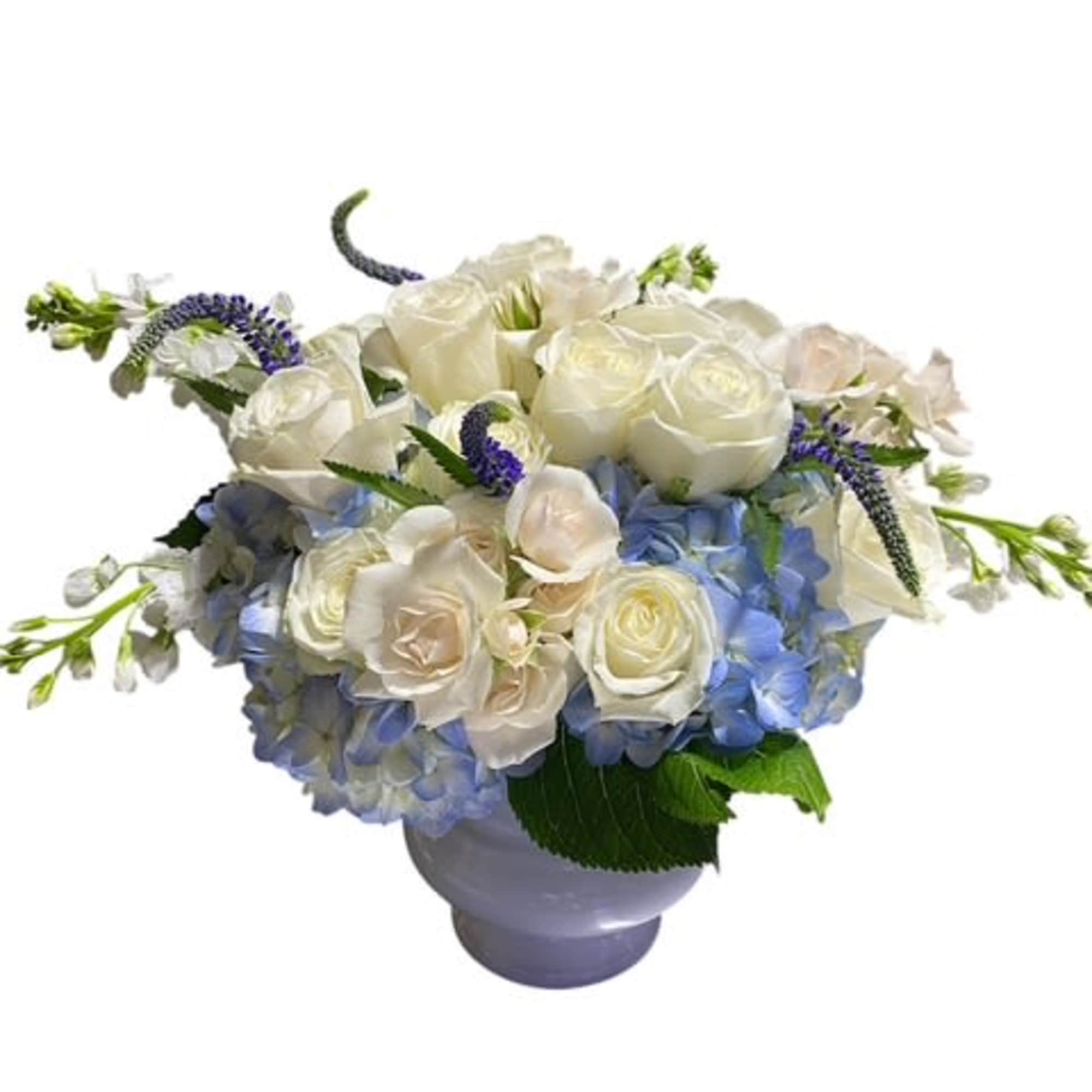 We are constantly surrounded by lights. Incandescent lights, fluorescent lights, the northern