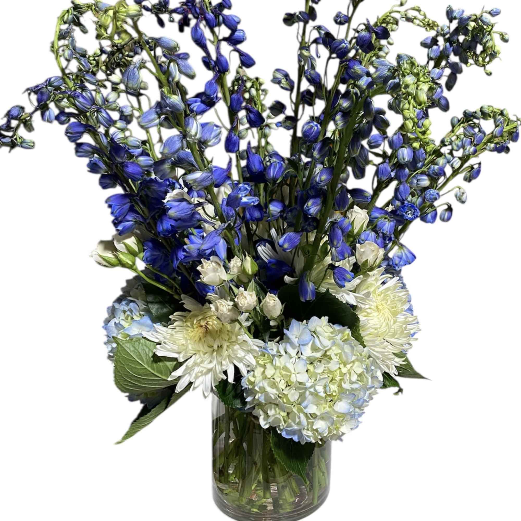 We are constantly surrounded by lights. Incandescent lights, fluorescent lights, the northern