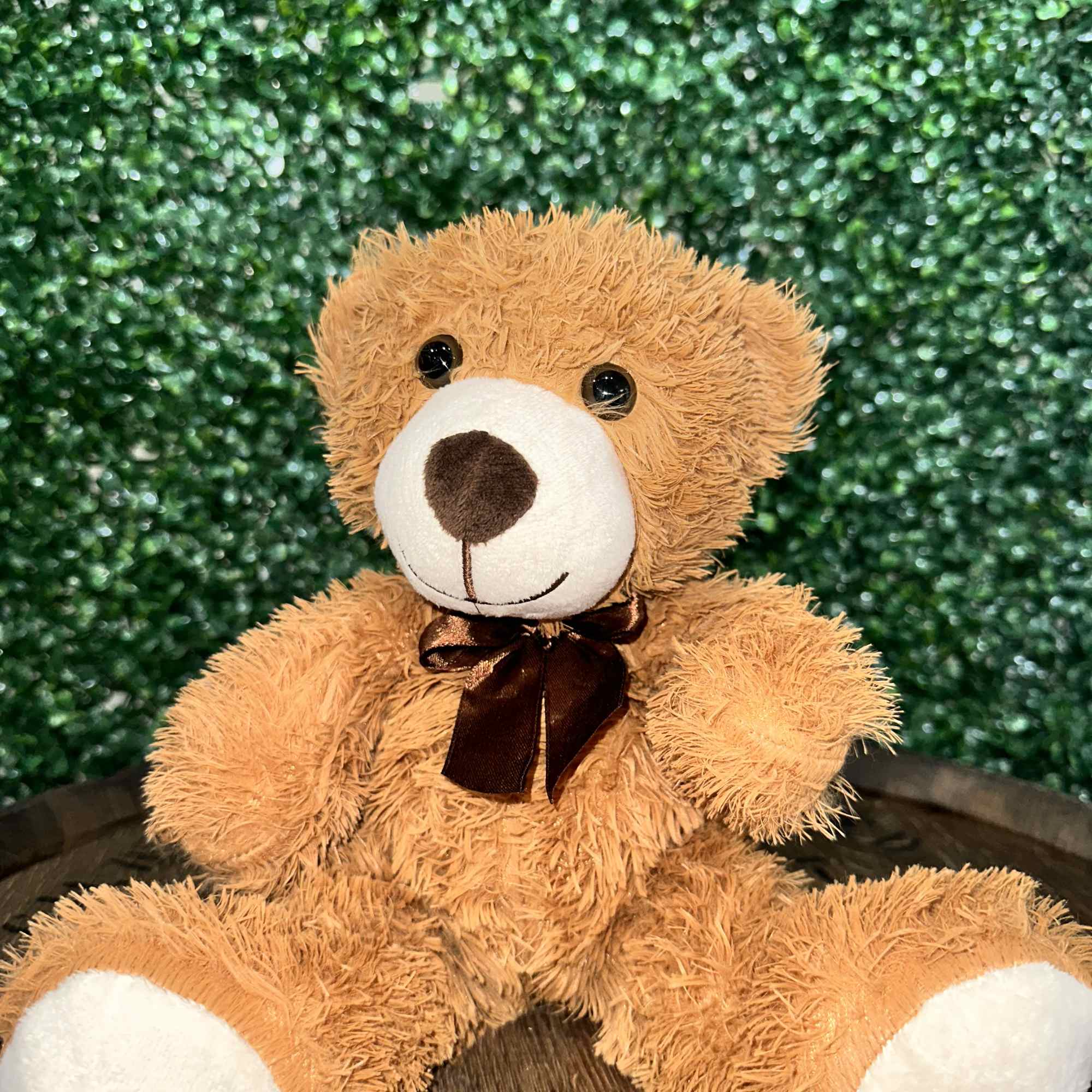 An adorable teddy bear for your loved ones. Comes in light or