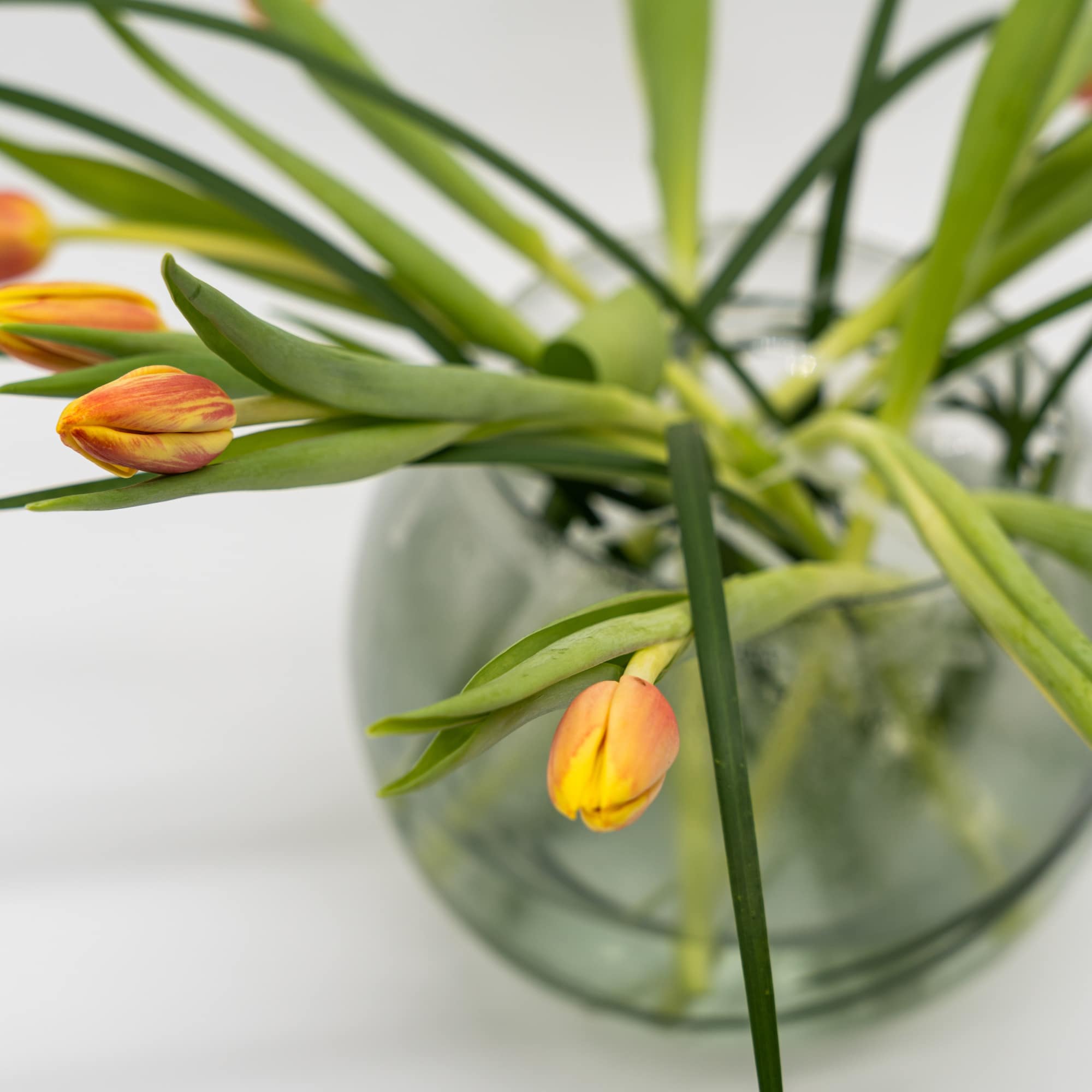 An Elegant and simple arrangement of Tulips only. Vase may vary An Elegant and simple arrangement of Tulips only. Vase may vary