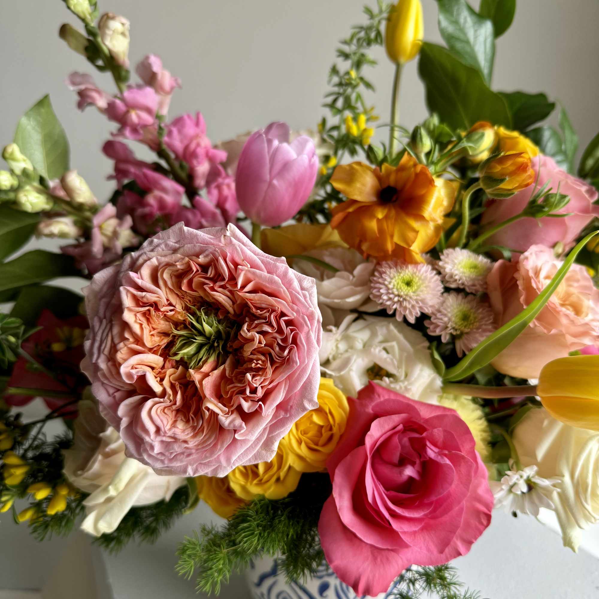 Capture the Essence of colors Symphony in a Blossoming Bouquet,
Let Nature's Palette Capture the Essence of colors Symphony in a Blossoming Bouquet,
Let Nature's Palette