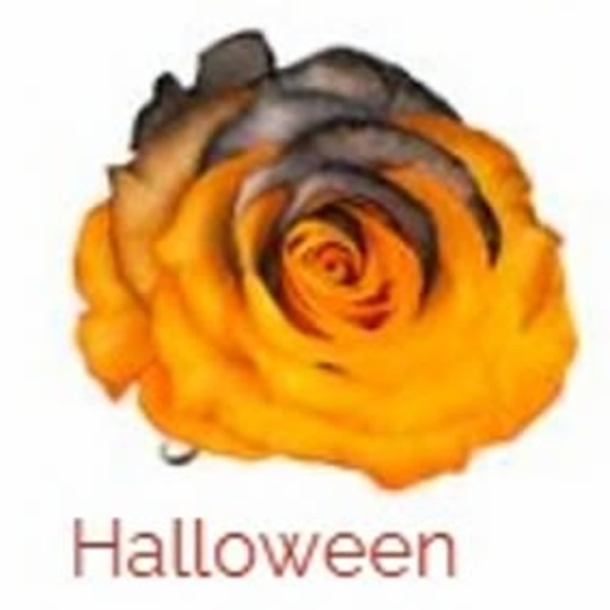 Six of these wonderful orange roses with fire branding will be arranged