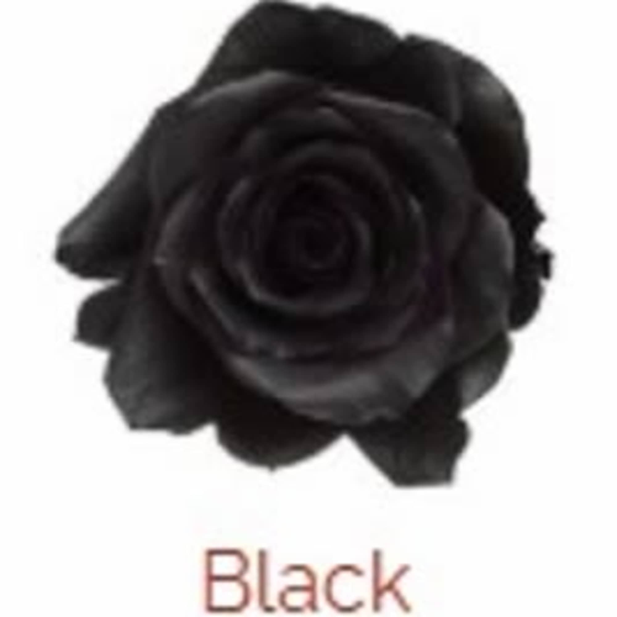 Six Black Roses in a Vase spooked up for Halloween Midnight
Deluxe is
