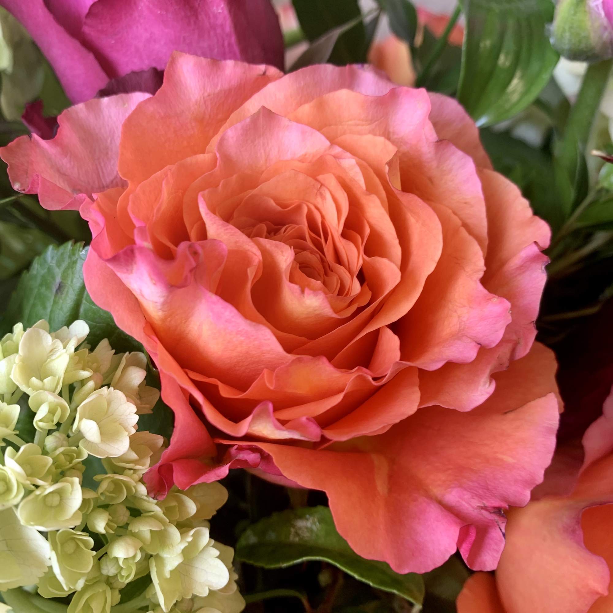 Smiles will be blooming everywhere this attractive garden arrangement goes! Featuring bright