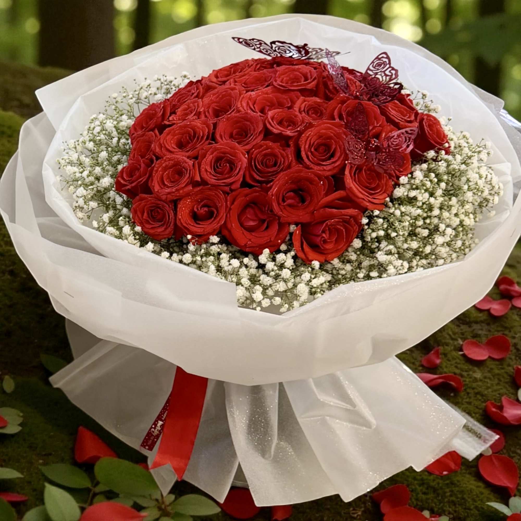 
In some instances, our photo may represent an overall theme or look