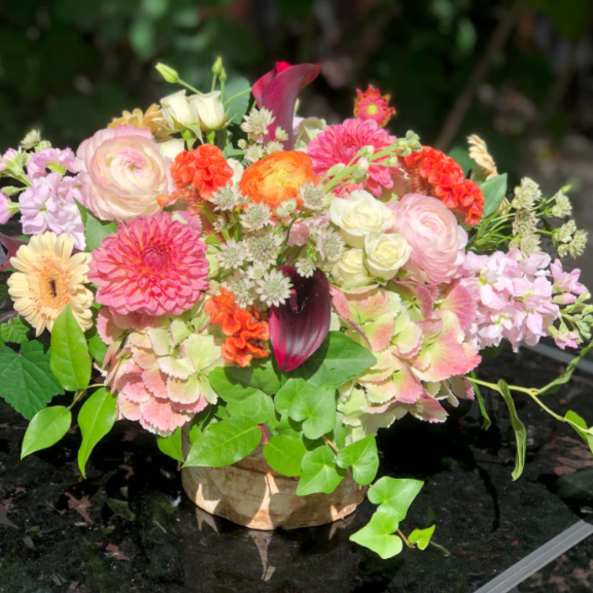 A collection of late summer and early fall blossoms in hues of A collection of late summer and early fall blossoms in hues of